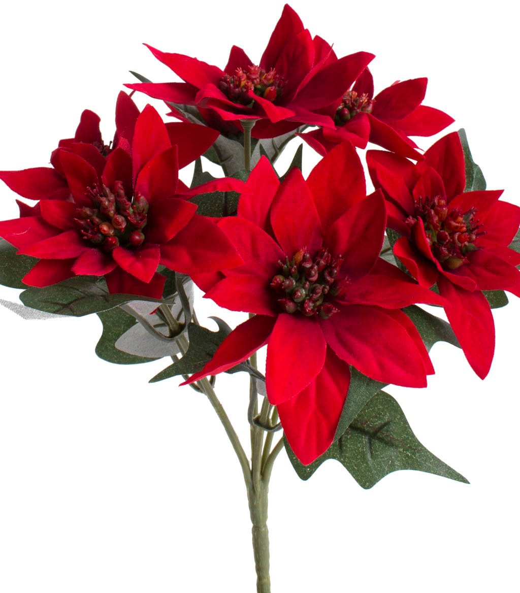 Image of Botanic-Haus Kunstblume »Mini-Poinsettienbusch«, (1 St.) bei Ackermann Versand Schweiz