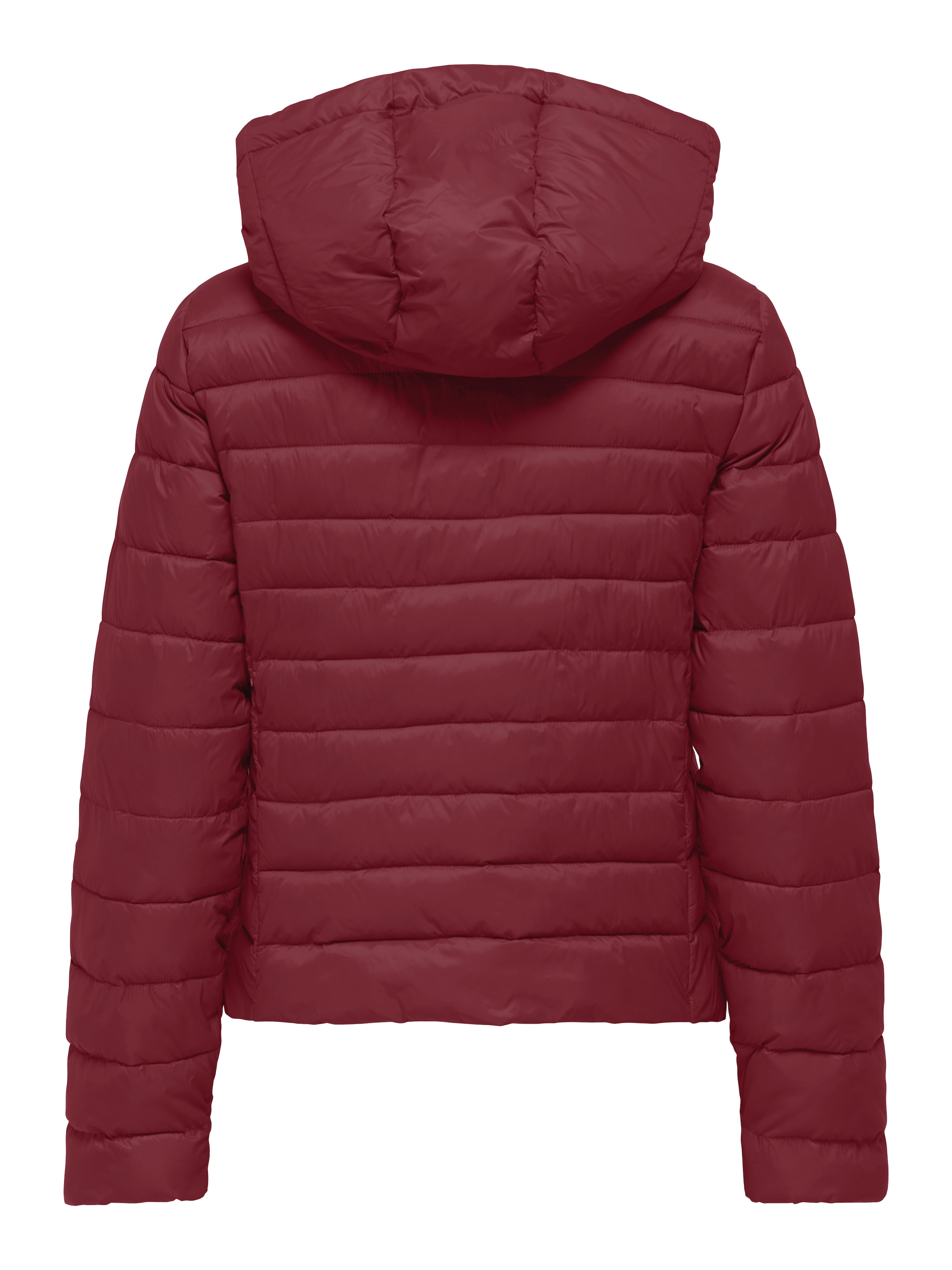 ONLY Steppjacke »ONLTAHIA LW QUILTED HOOD JKT OTW CC OTW«, mit Kapuze