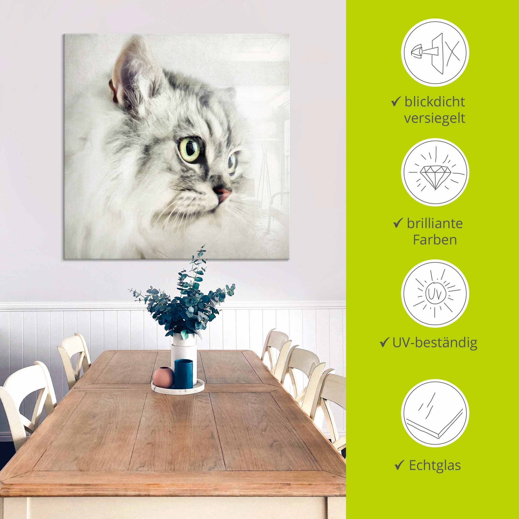 Artland Glasbild »Katzenporträt weiss«, Haustiere, (1 St.), in verschiedenen Grössen
