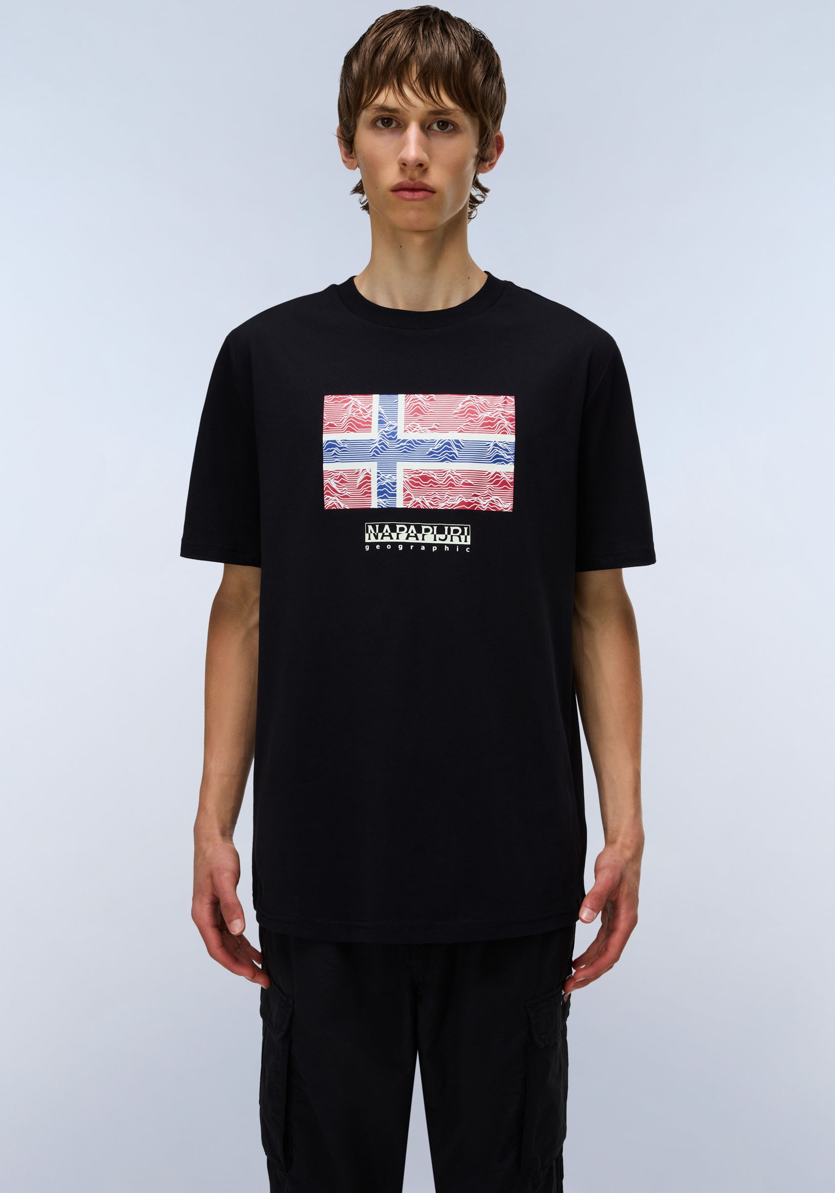 Image of Napapijri T-Shirt "DRAPEAU" mit Print, Rundhals, Jersey