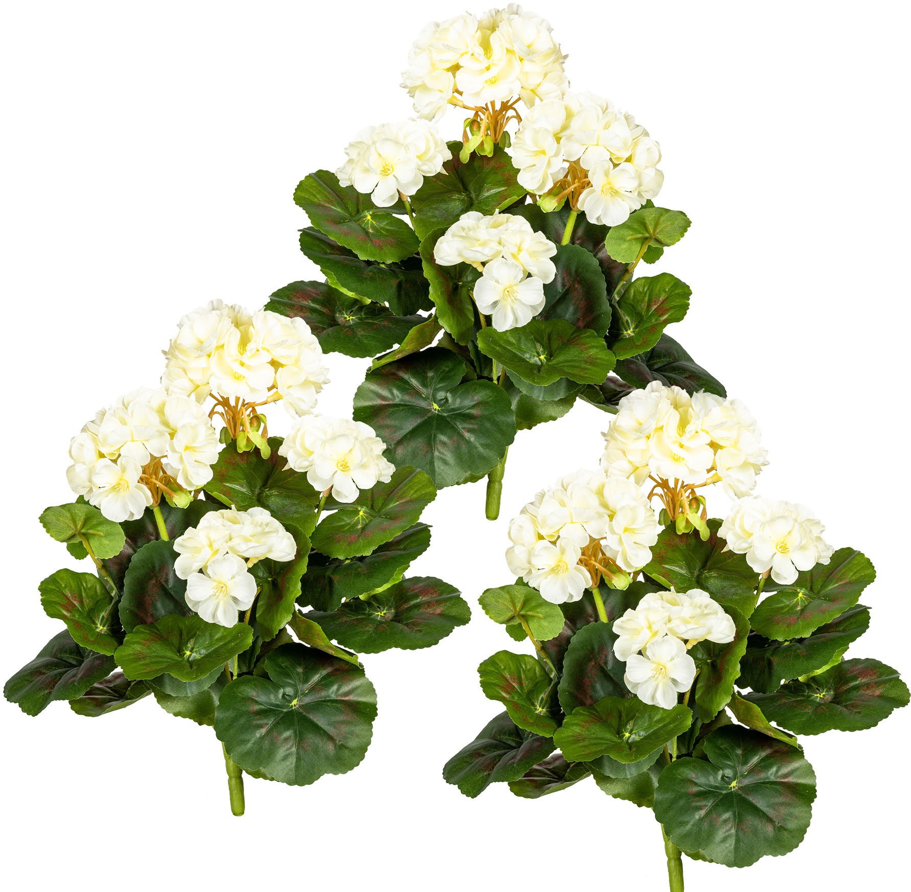 Image of DELAVITA Kunstblume »Evke«, (3 St.), Kunstpflanze, 3er Set bei Ackermann Versand Schweiz