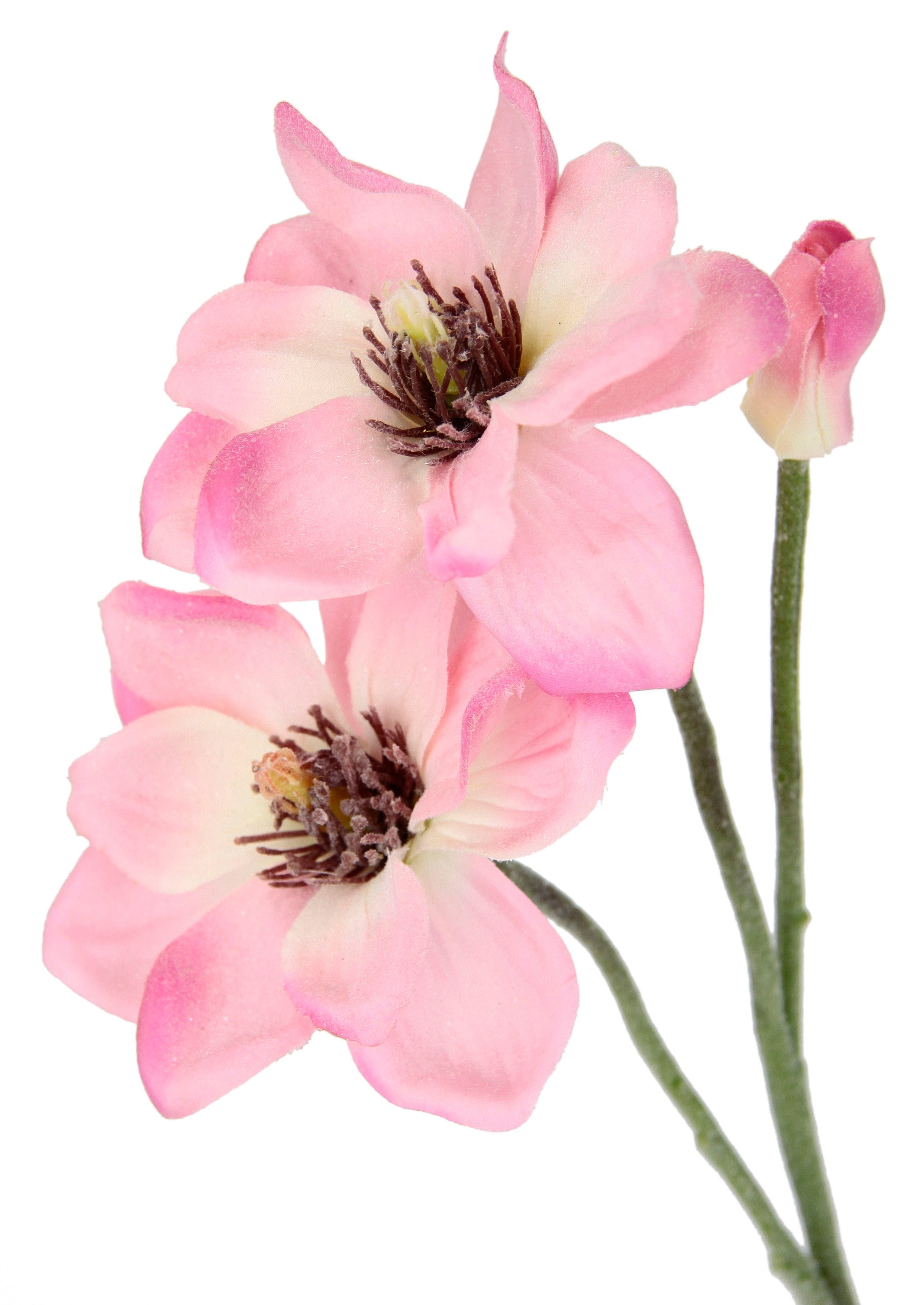 Set jetzt kaufen Künstlicher Magnolienzweig, 3er I.GE.A. »Magnolie«, Kunstblume