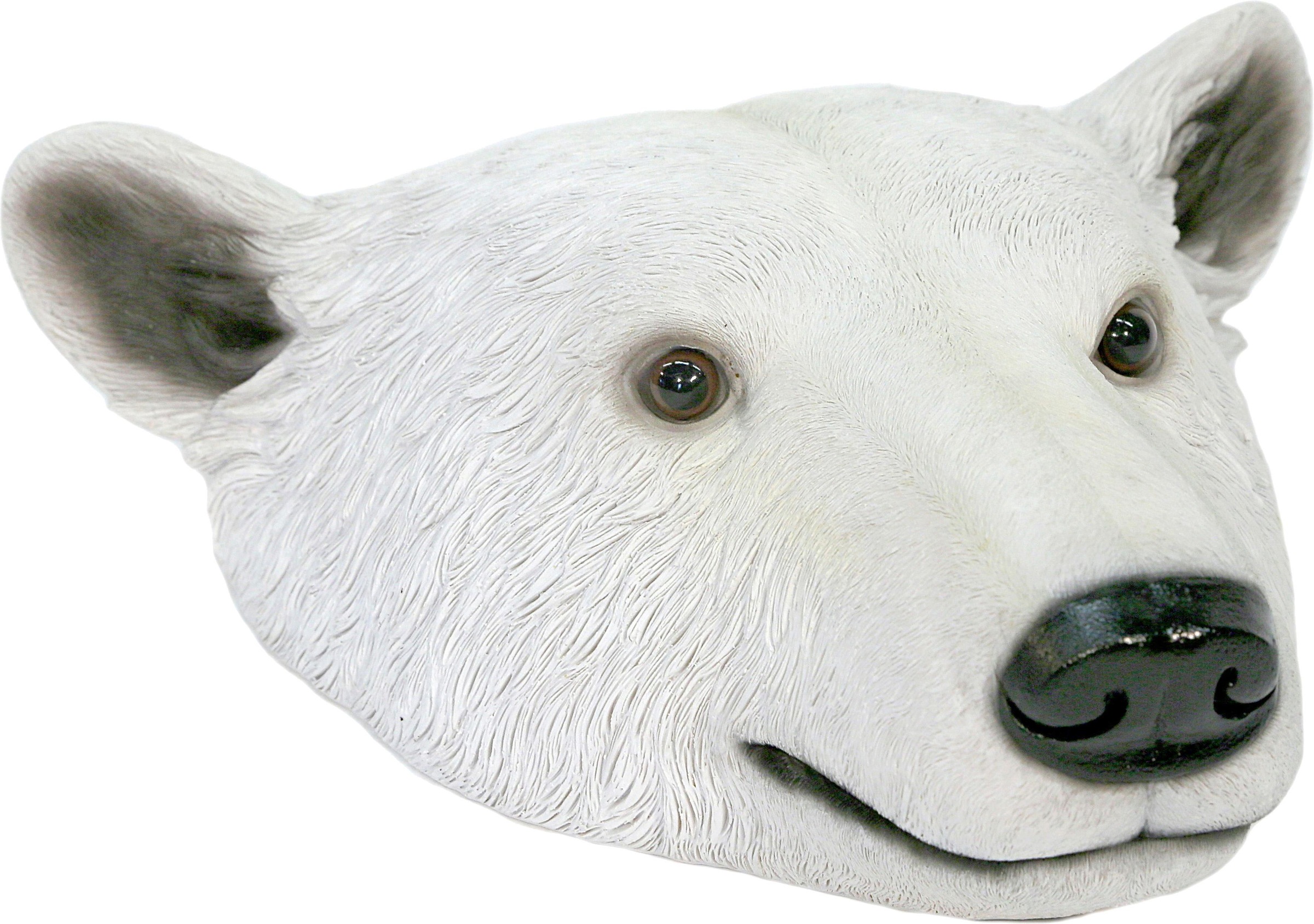 Image of Casa Collection by Jänig Tierfigur »Eisbärkopf«, Breite 29 cm bei Ackermann Versand Schweiz