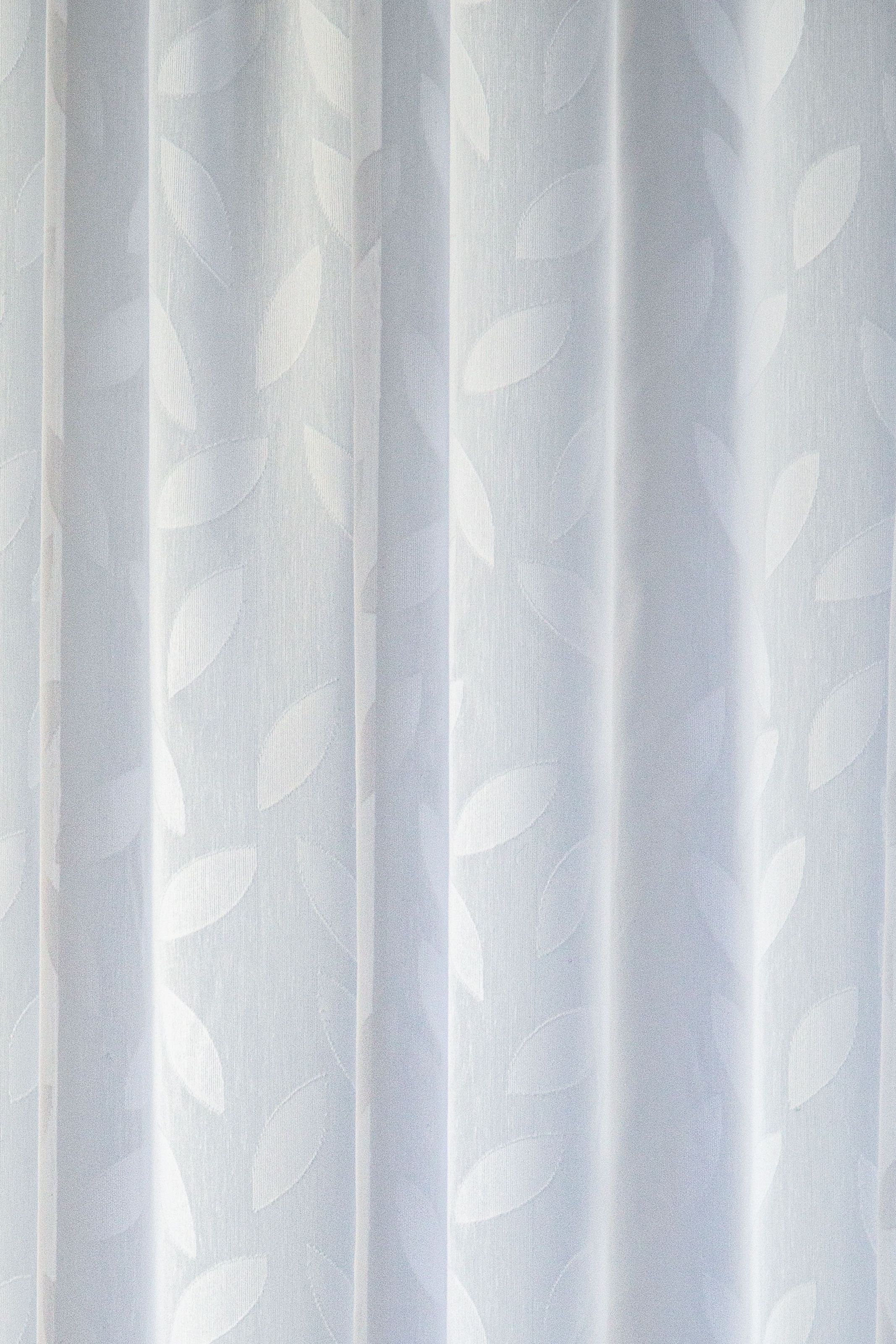 HOMING Gardine »Keela« verdeckte Schlaufen 1 Stk. tlg. Blätter, floral, Blumen, Wohnzimmer, Schlafzimmer, transparent