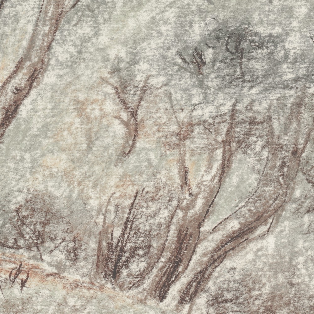 Komar Papier peint photo »Vlies Fototapete - Grove - Grösse 350 x 250 cm« imprimé