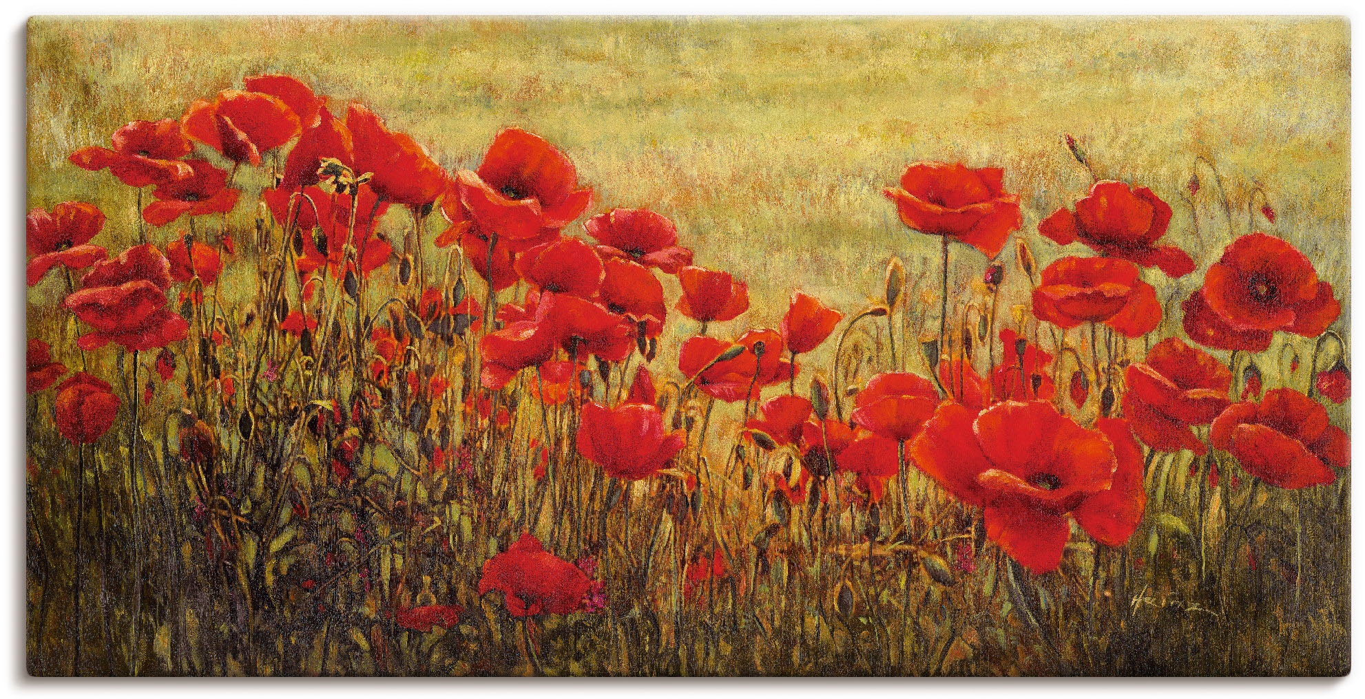 Image of Artland Leinwandbild "Mohnfeld" Blumenwiese 1 Stk. tlg. auf Holzrahmen gespannt