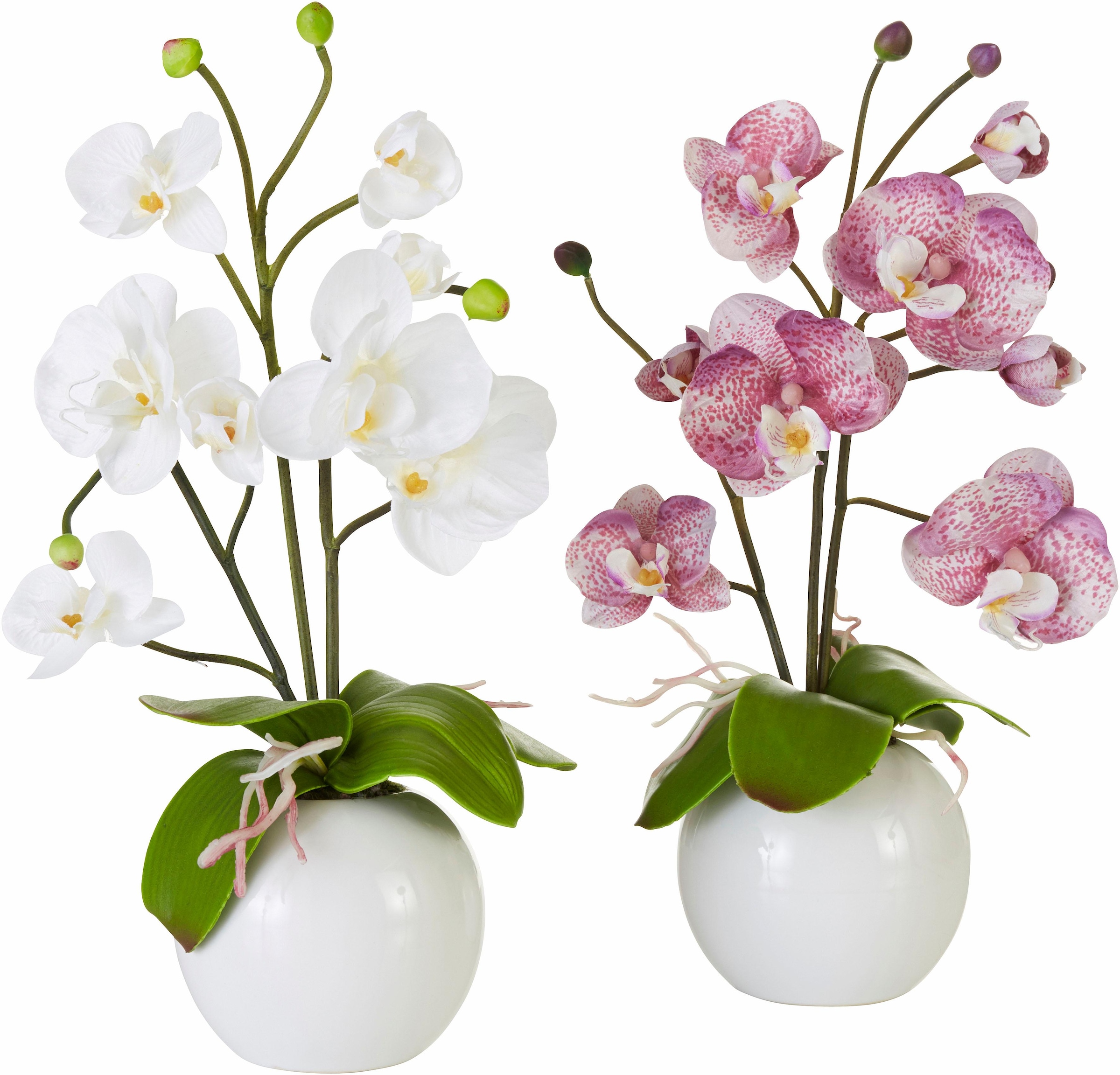 I.GE.A. Kunstpflanze »Orchidee«