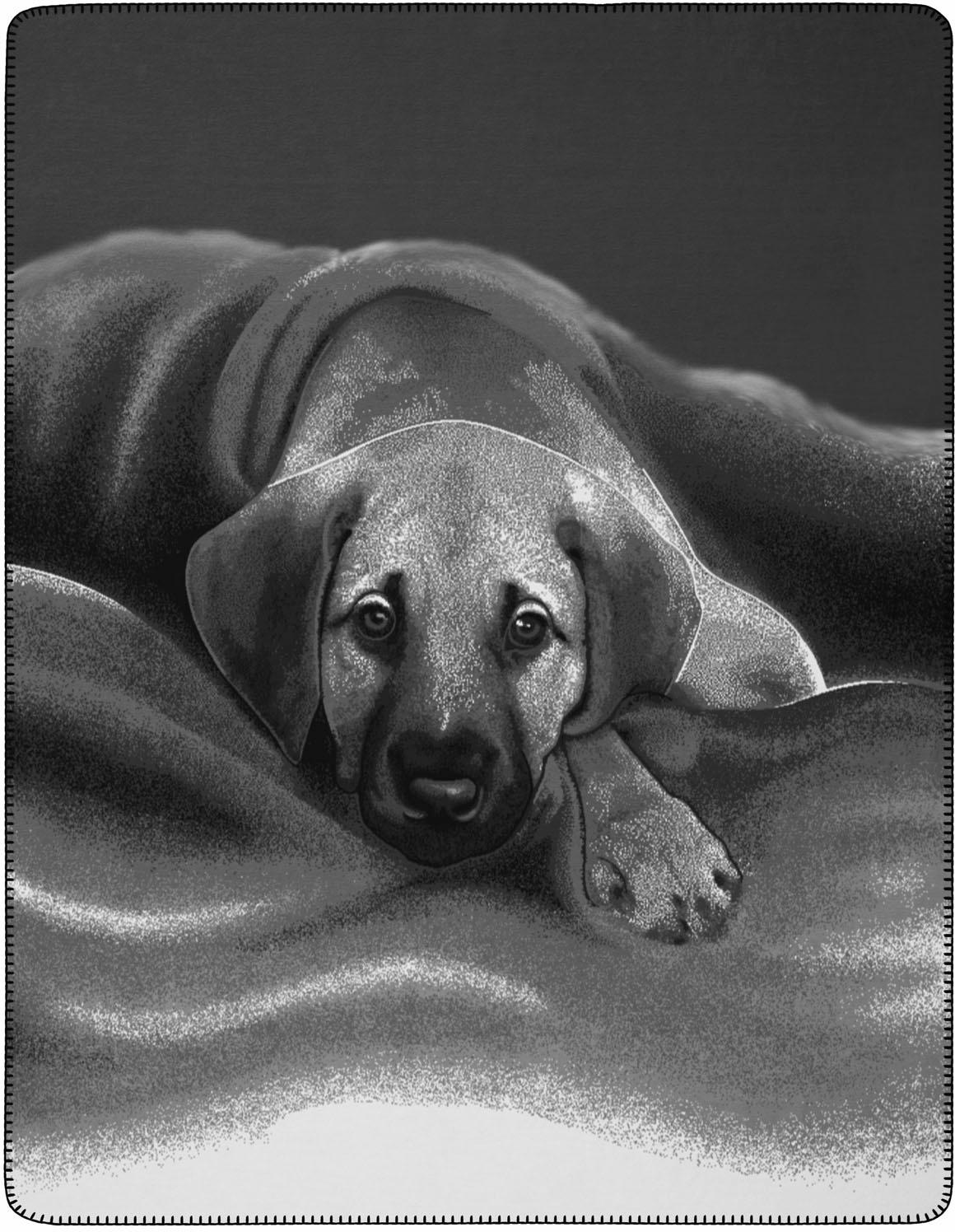 Image of BIEDERLACK Wohndecke »Barry«, mit Hunde Motiv, Kuscheldecke bei Ackermann Versand Schweiz