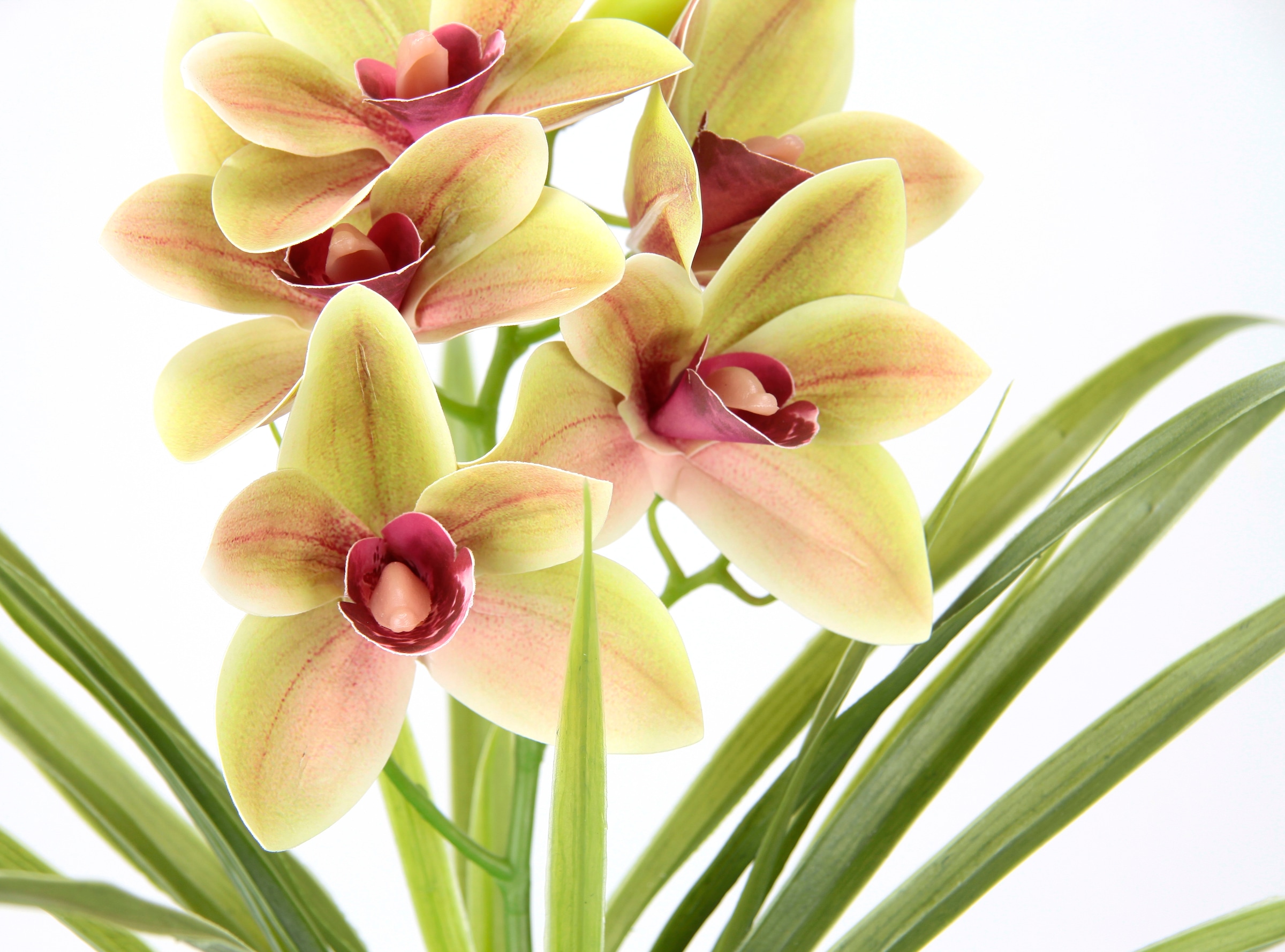 my home Kunstblume »Orchidee«, Mit Blätter im Topf aus Zement Künstliche Blume Cymbidium-Orchidee