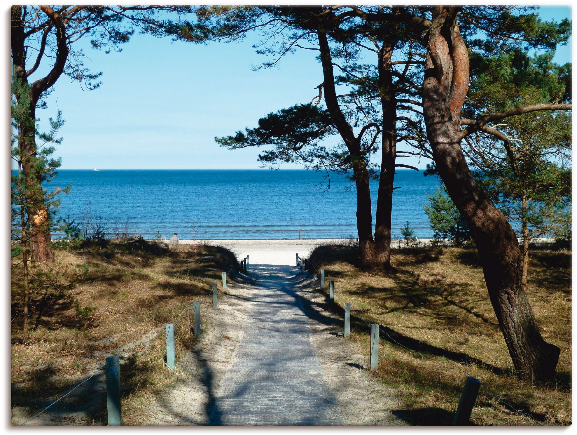 Image of Artland Leinwandbild "schöne Ostseeküste" Gewässer 1 Stk. tlg. auf Holzrahmen gespannt