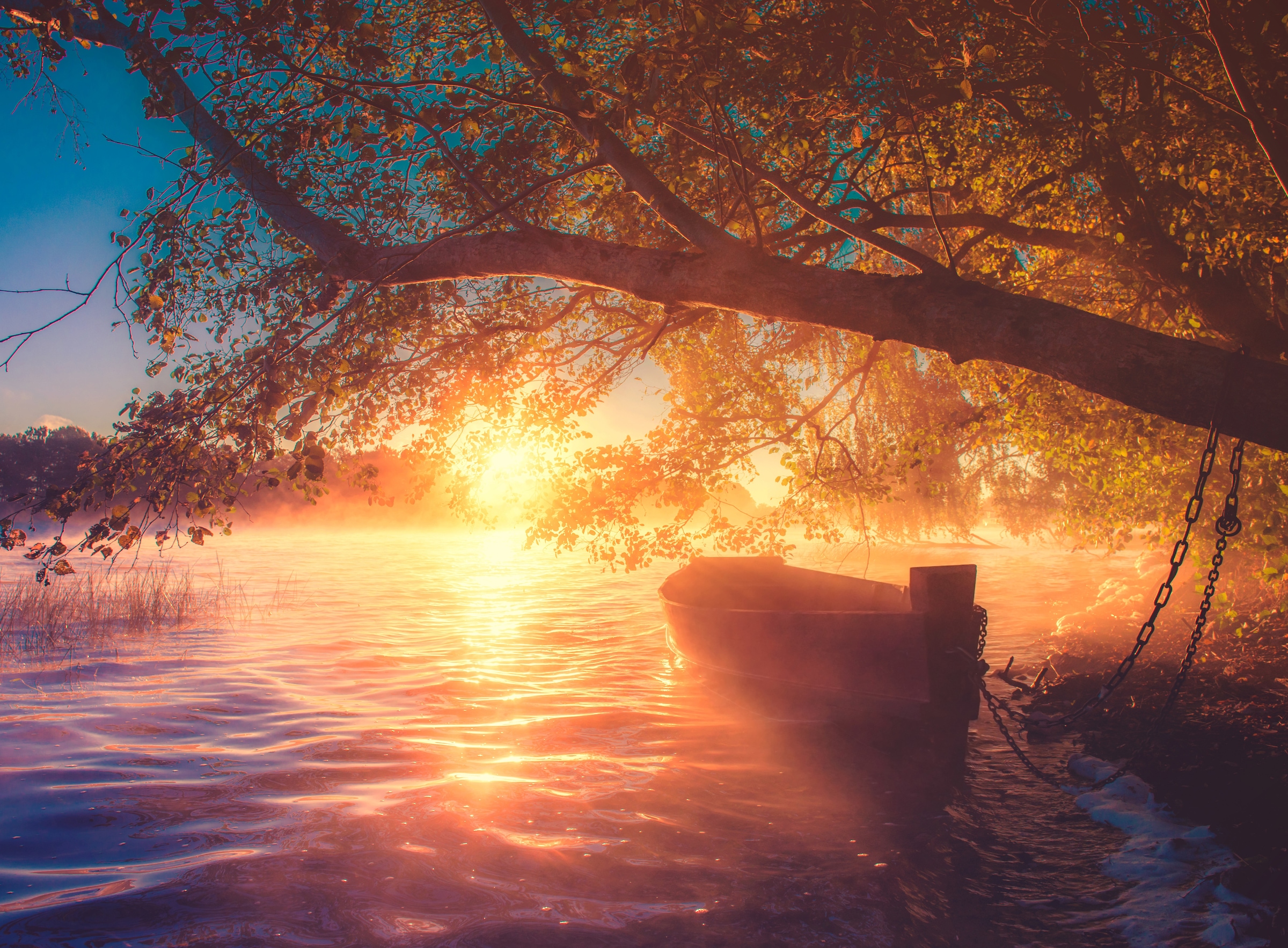 Image of Papermoon Fototapete "Misty Lake View" glatt