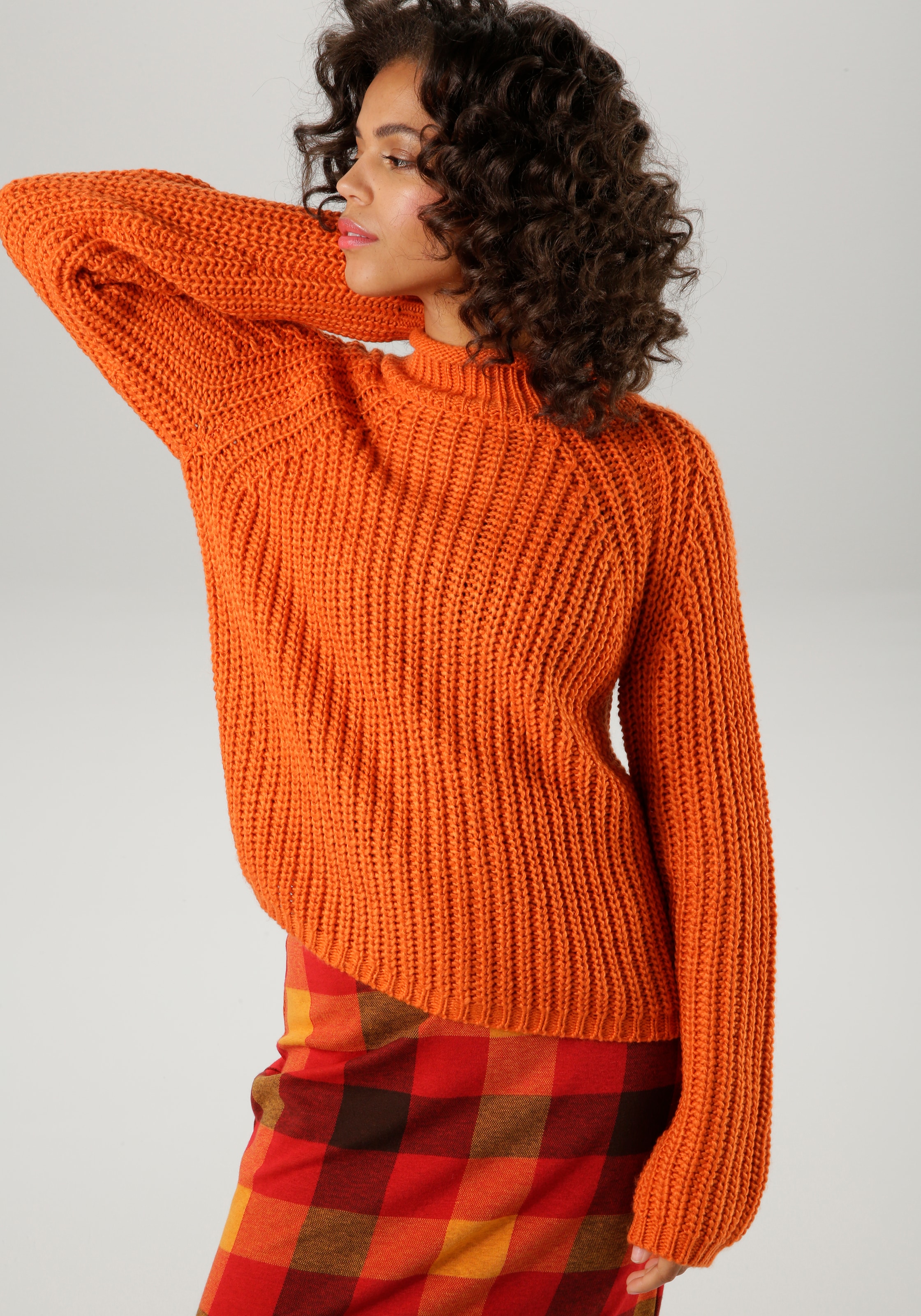 Strickpullover, mit Rollkante am Stehkragen - NEUE KOLLEKTION