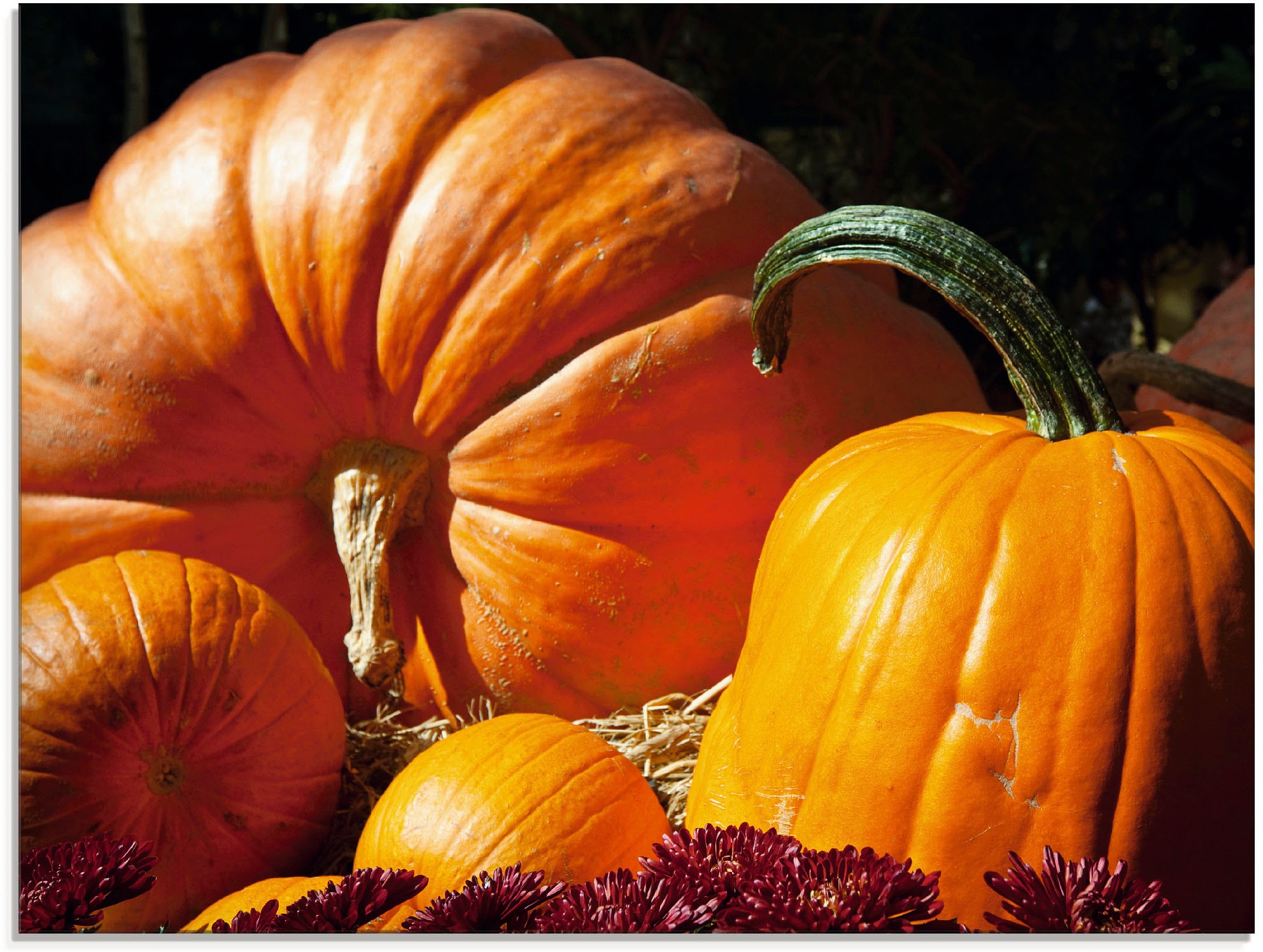 Image of Artland Glasbild »Kürbis«, Lebensmittel, (1 St.) bei Ackermann Versand Schweiz