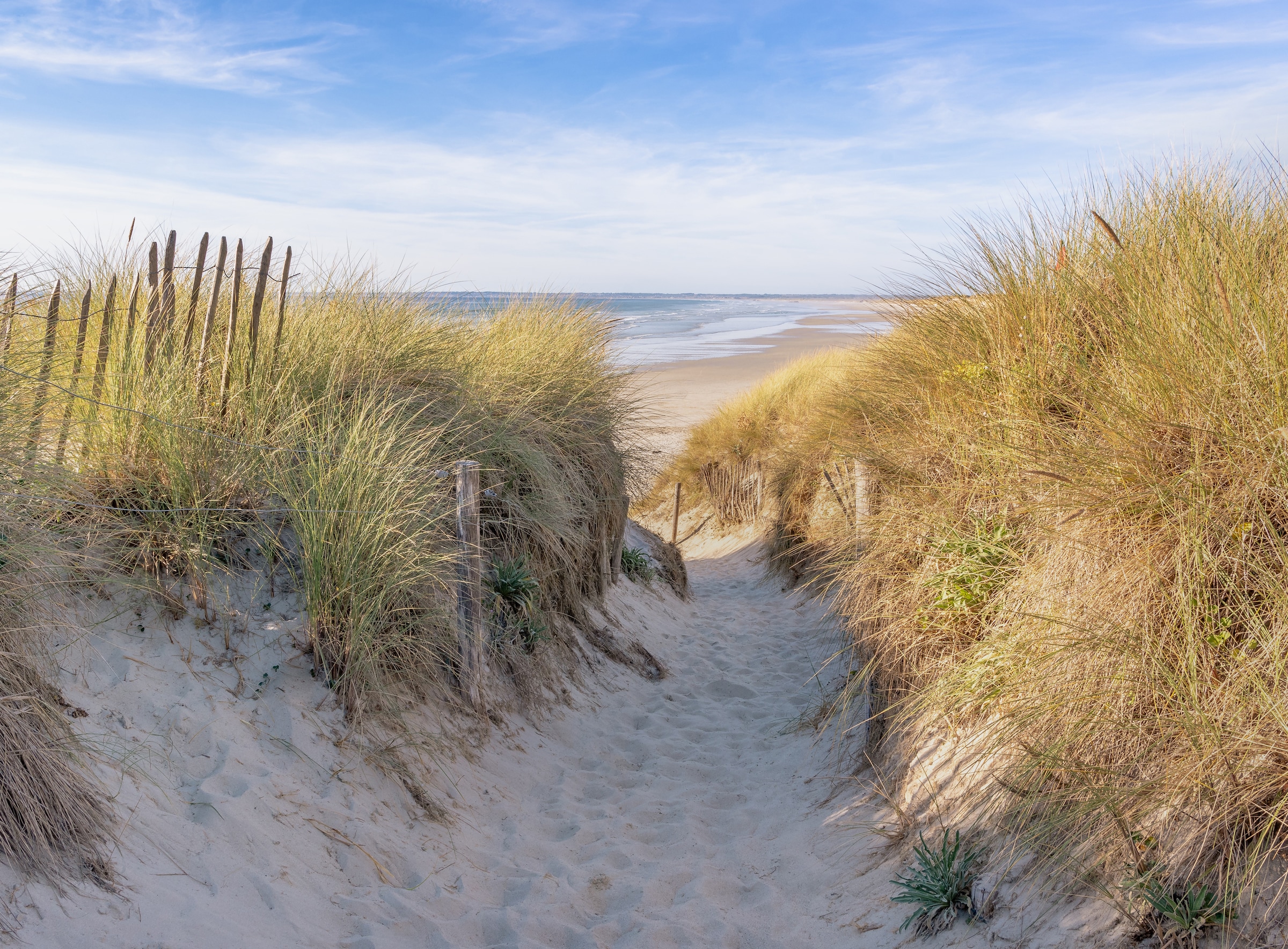 Image of Papermoon Fototapete "Dunes in Bretagne" glatt