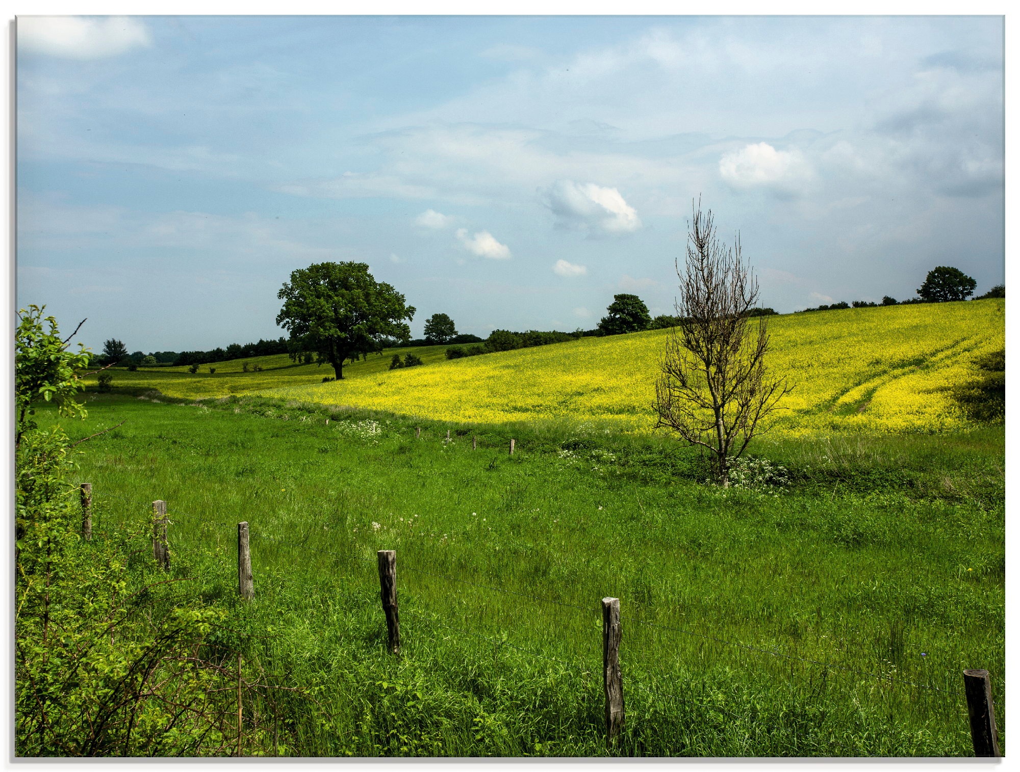 Image of Artland Glasbild »Schönes Schleswig Holstein«, Felder, (1 St.) bei Ackermann Versand Schweiz