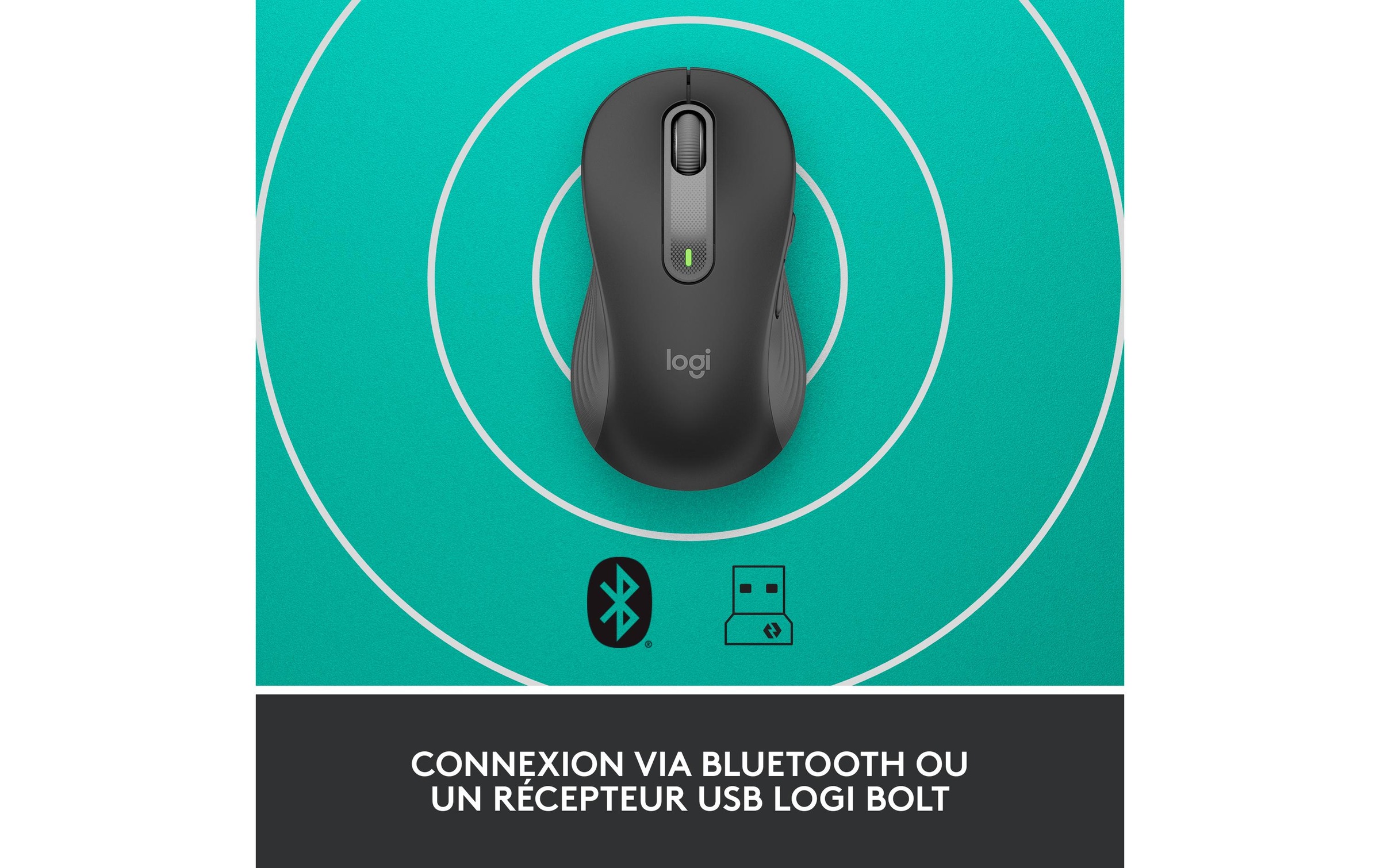 Logitech Maus »Signature M650 L left Graphite«, kabellos