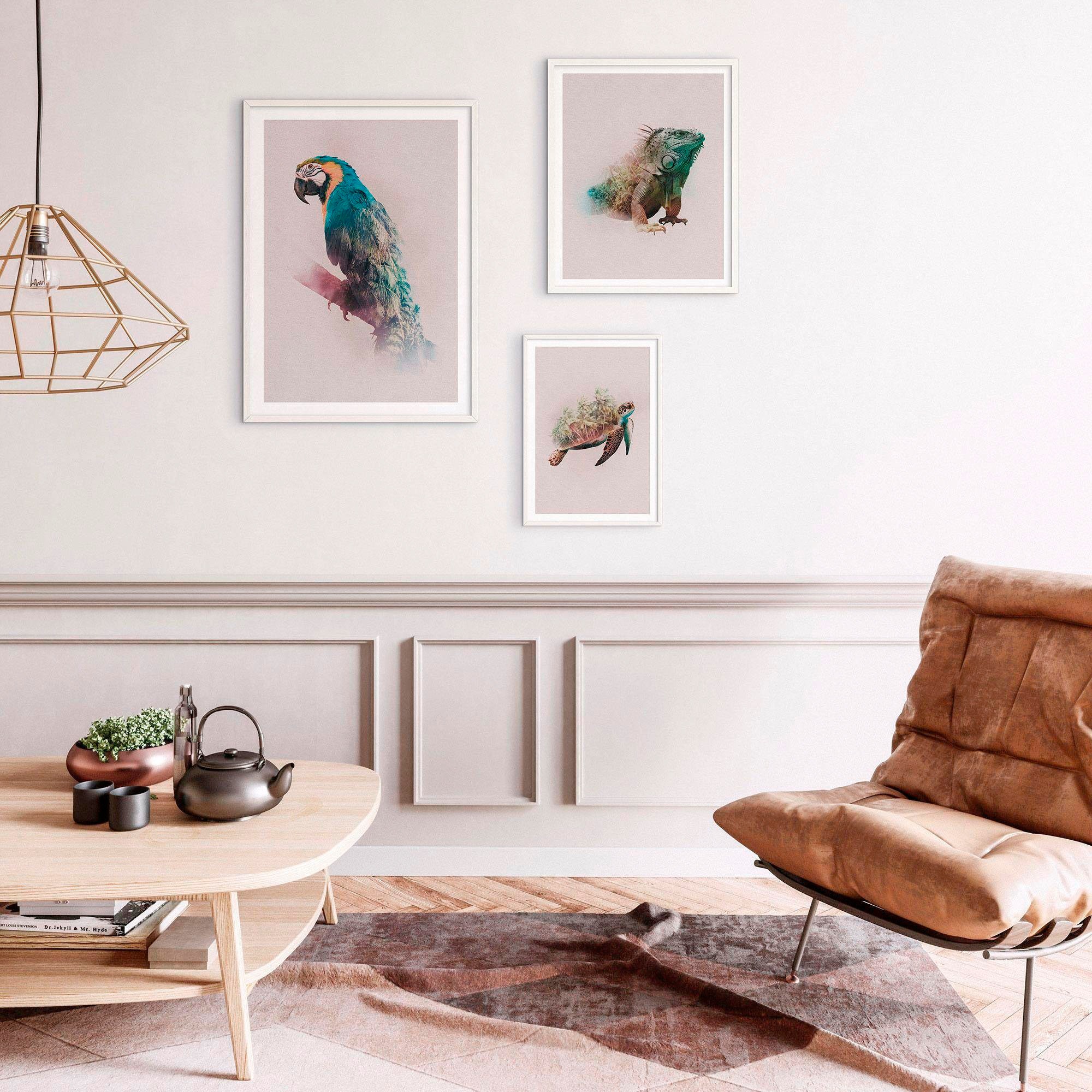 Image of Komar Bild "Animals Paradise Turtle" Tiere 1 Stk. tlg. Wandbild zur Dekoration - ohne Rahmen