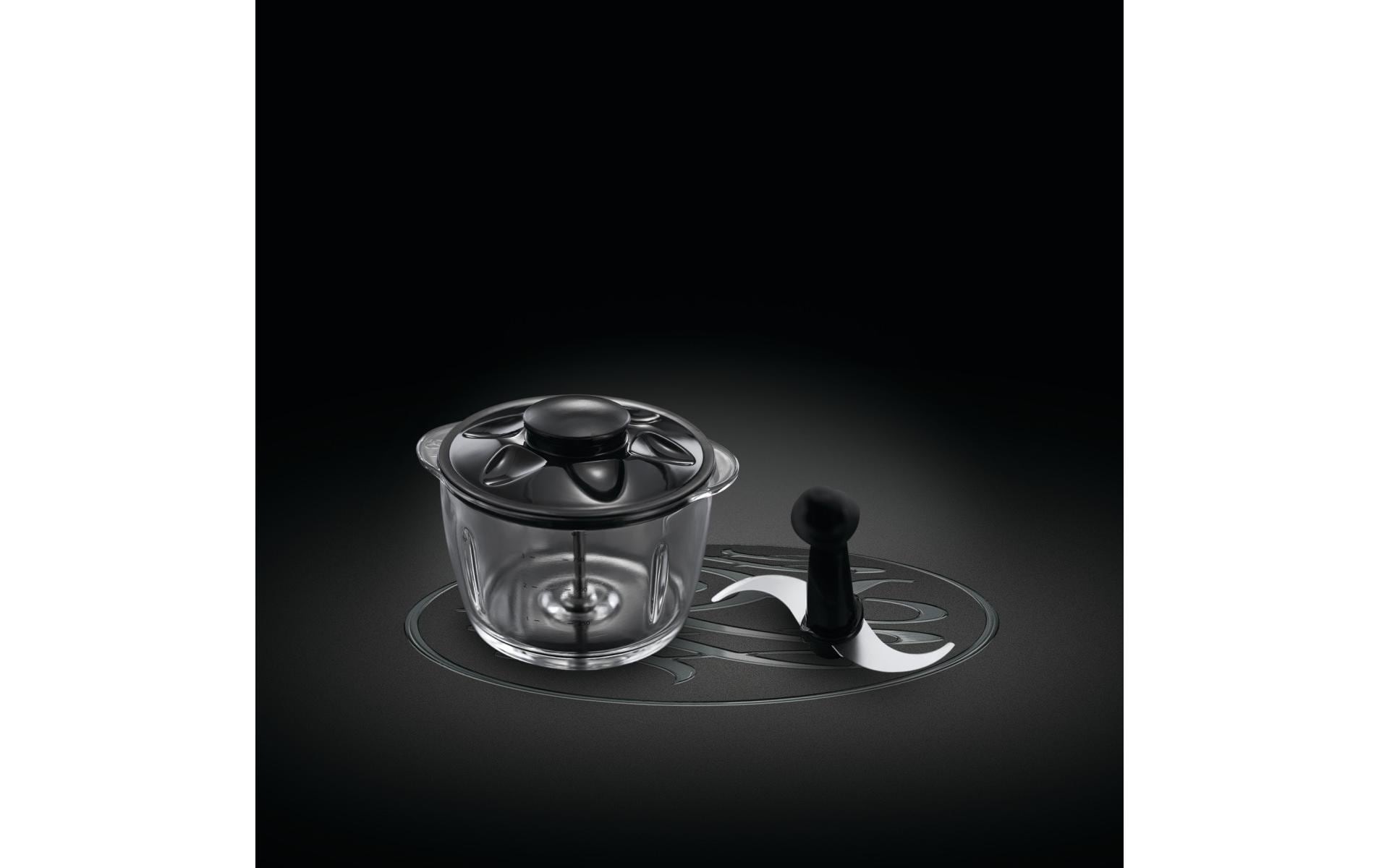 RUSSELL HOBBS Zerkleinerer »0.5 l«