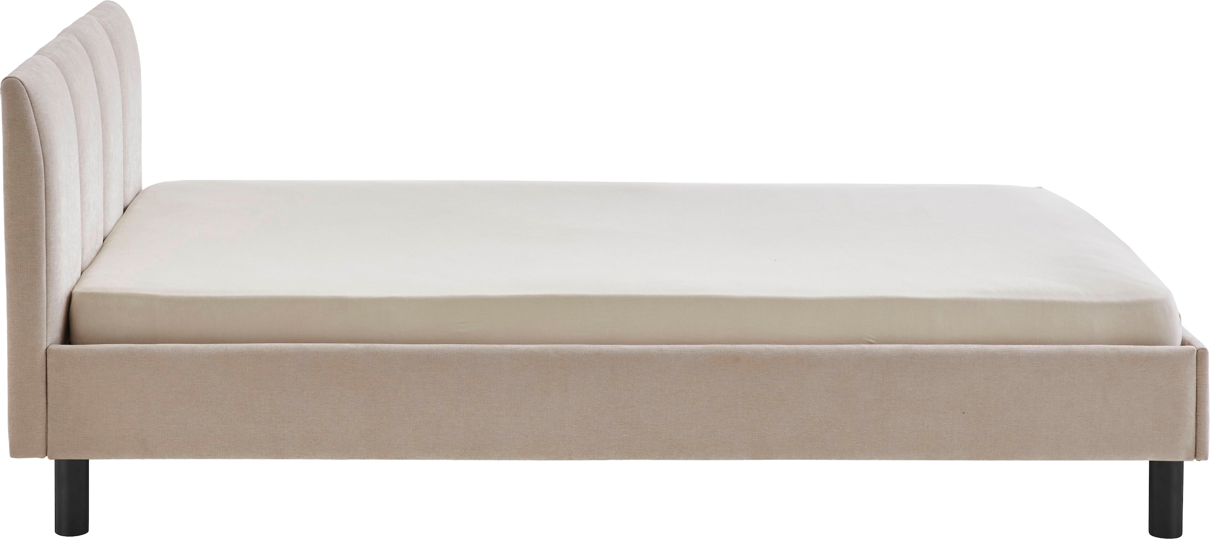 meise.möbel Lit rembourré »Joker, in verschiedenen Breiten und Farben erhältlich« wahlweise mit schwarzem oder eichefarbigem Holzfuss