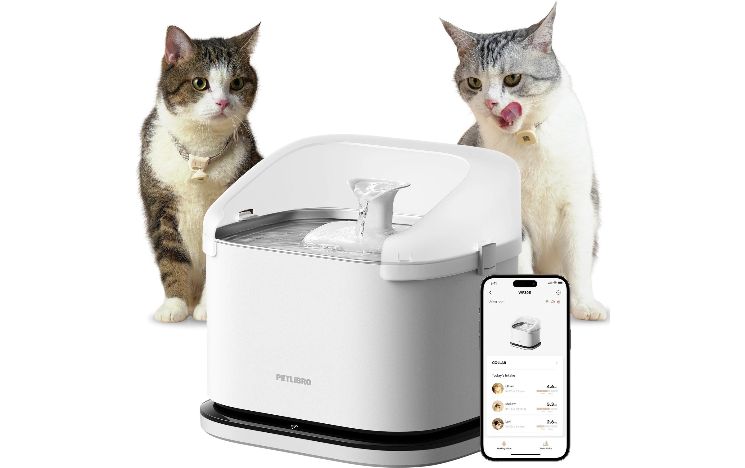  Fontaine à boire »Petlibro Dockstream RFID Smart Fountain 3 l« Automatischer Trinkbrunnen
