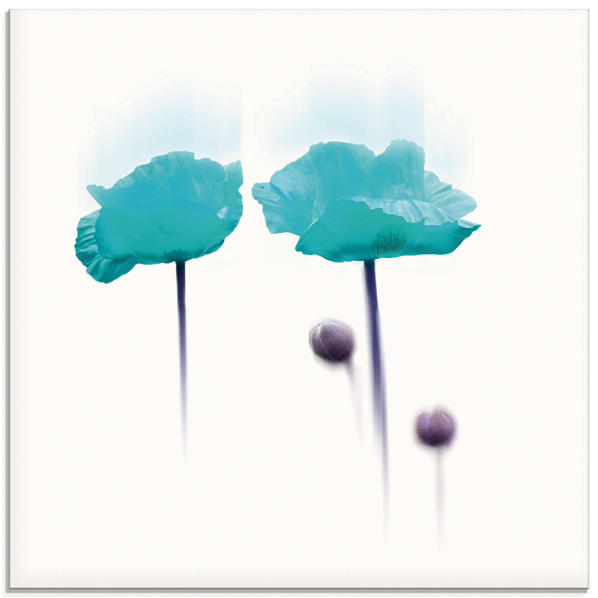 Image of Artland Glasbild "Blüte abstrakt II" Blumen 1 Stk. tlg. in verschiedenen Grössen