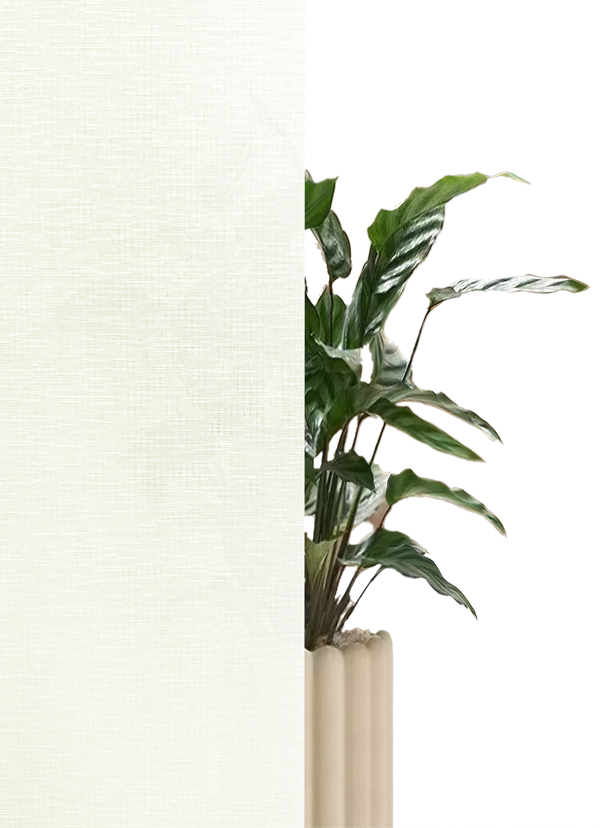 GOODproduct Rollo »NELLIA« Lichtschutz Sichtschutz ohne Bohren freihängend Klemmfix, Seitenzugrollo in natürlicher Leinenoptik, NEUHEIT