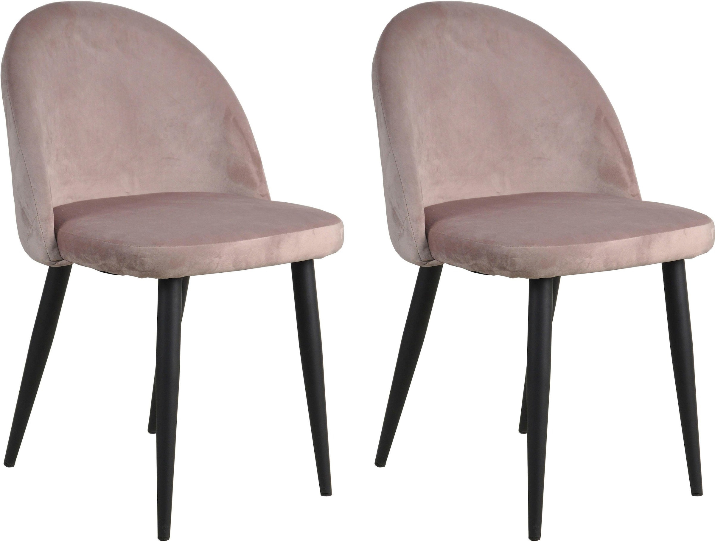 SIT Chaise rembourrée »2er Set Samt Altrosa Stahlgestell Schwarz« (Ensemble) 2 cuisRevêtement en velours noble vieux rose avec piqûres carreaux modernes