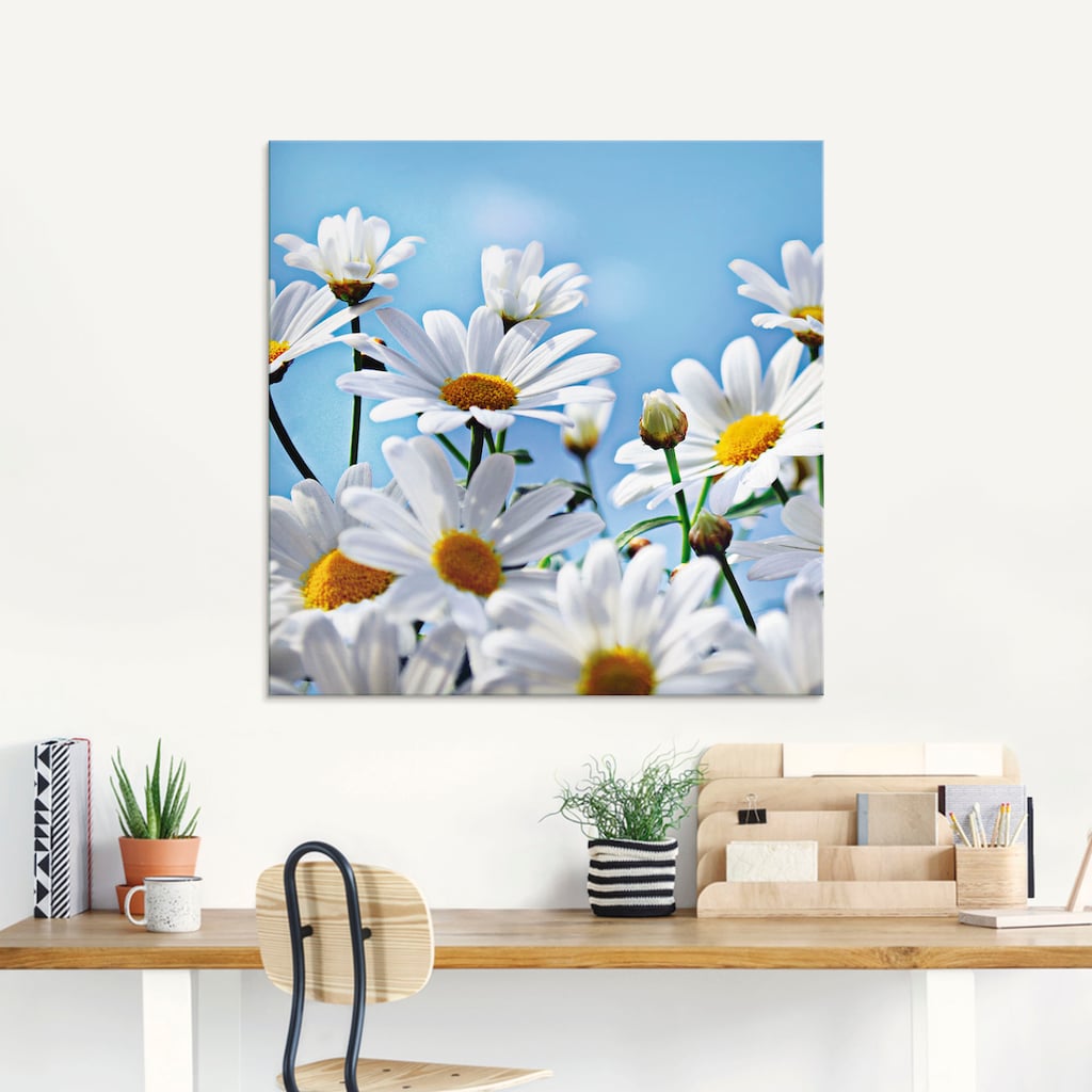 Artland Glasbild »Blumen - Margeriten«, Blumen, (1 St.)