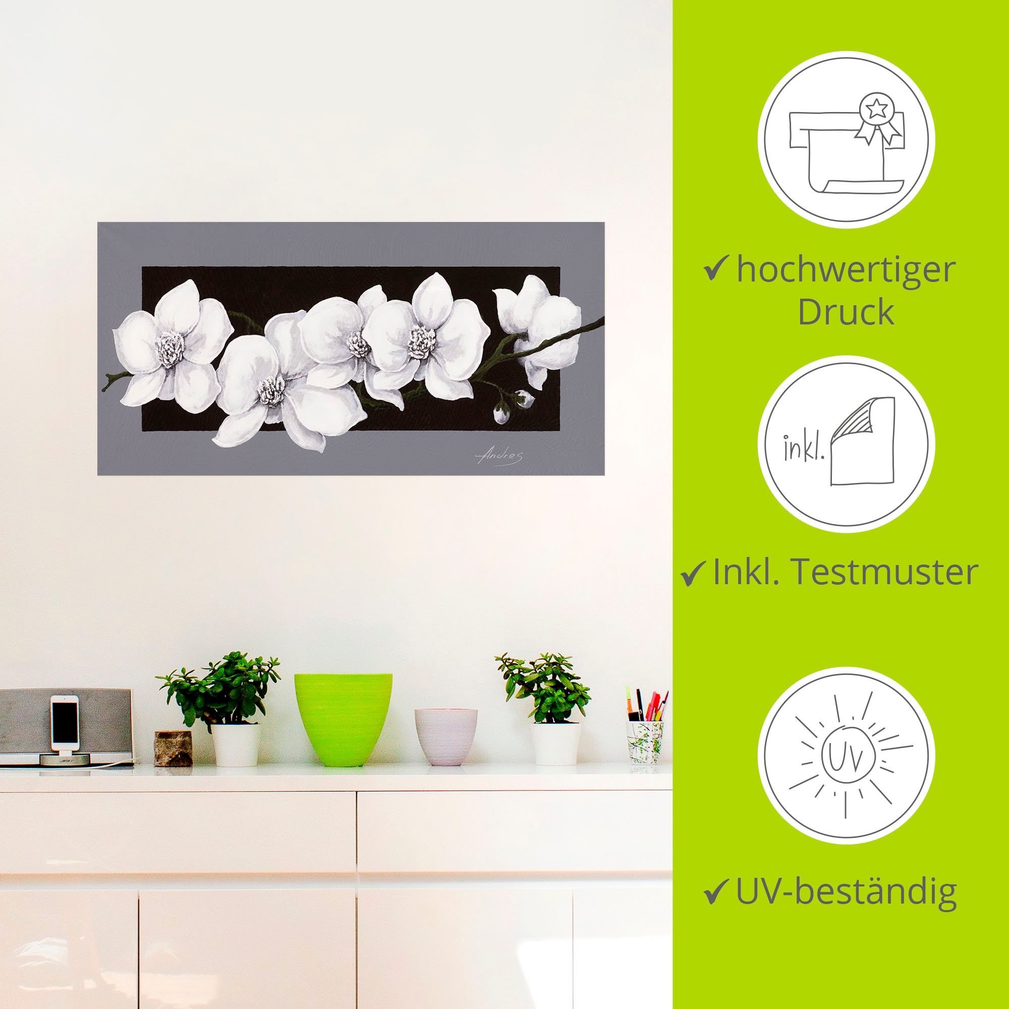 Artland Wandbild »Weisse Orchideen auf grau«, Blumen, (1 St.), als Alubild, Outdoorbild, Leinwandbild, Poster, Wandaufkleber