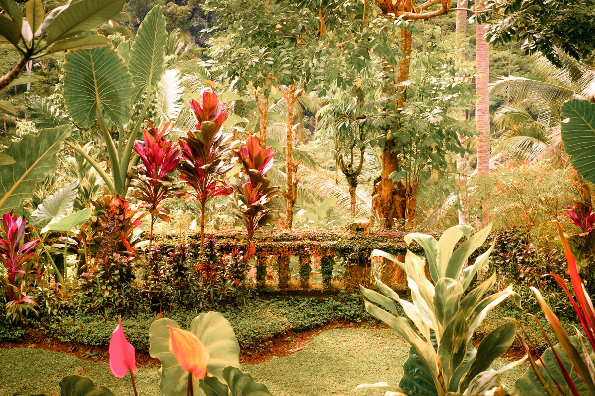 Image of Papermoon Fototapete "Alter Garten"