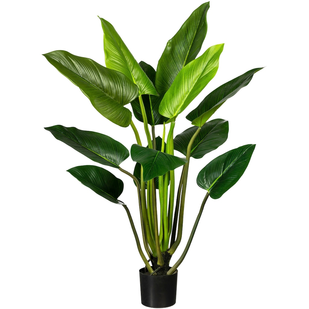 Creativ green Künstliche Zimmerpflanze »Philodendron«