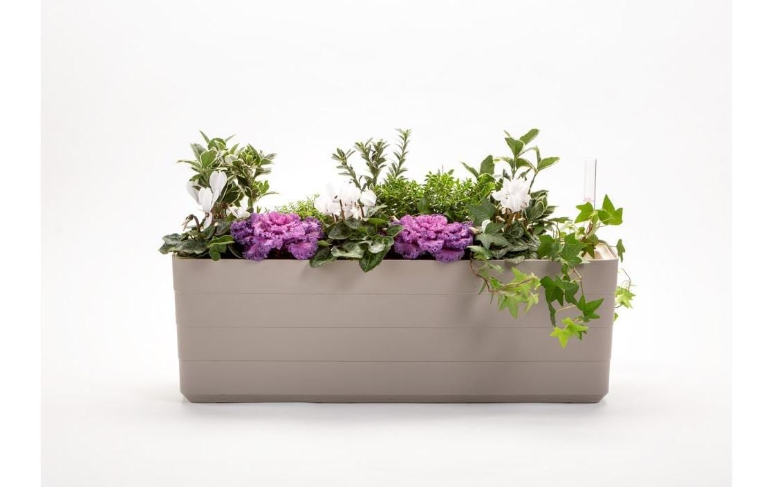   Bac à fleurs »Plastia Berberis 80 cm«