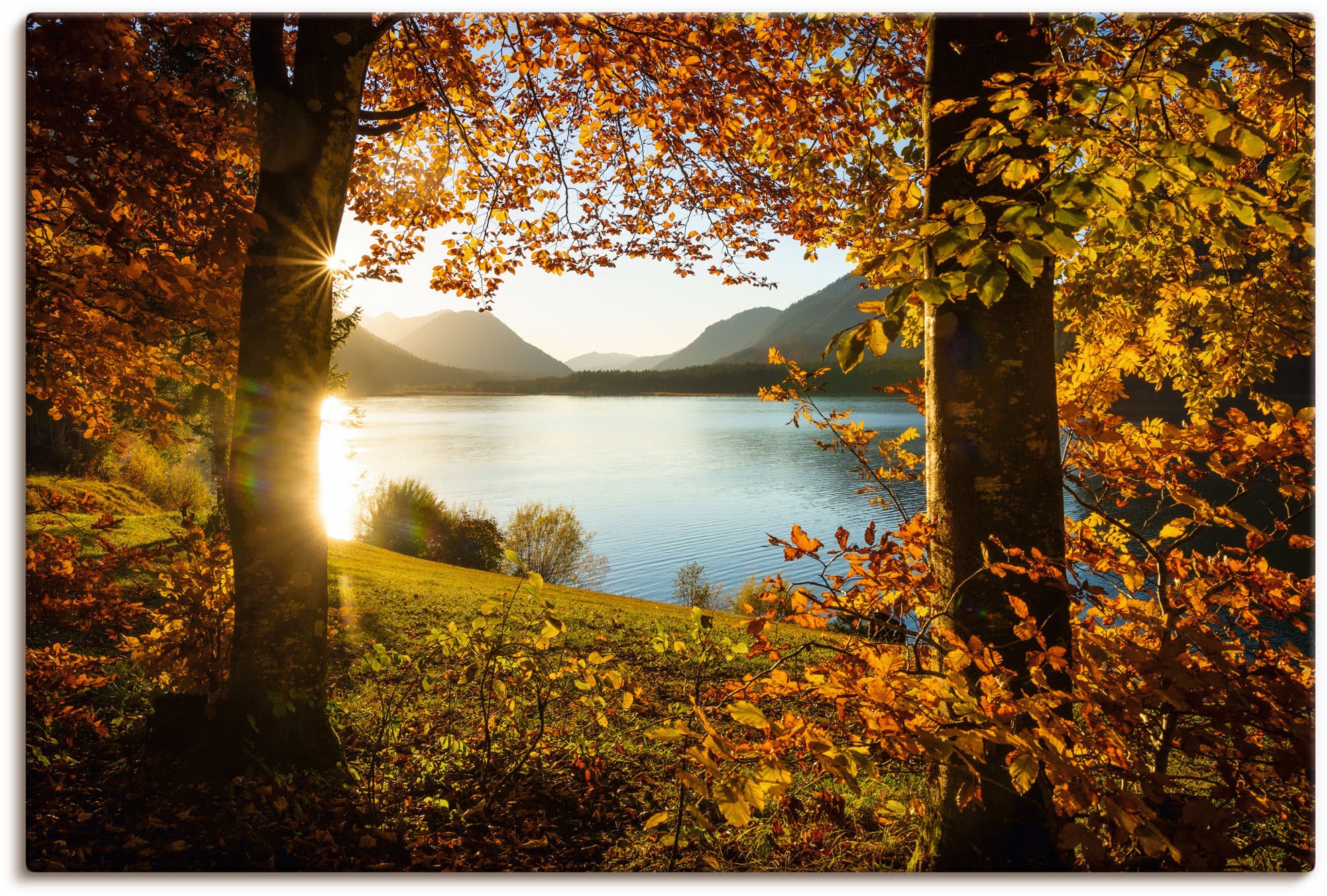 Image of Artland Wandbild "Herbst am Sylvensteinsee" Gewässer 1 Stk. tlg. als Alubild, Leinwandbild in verschied. Grössen