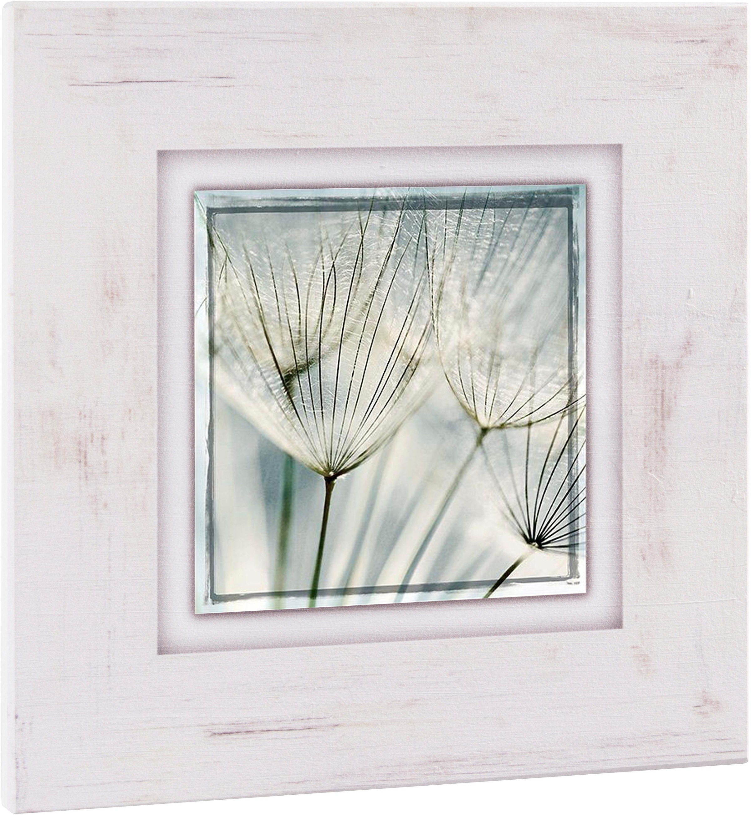 Image of Home affaire Holzbild »Pusteblume nah«, 40/40 cm bei Ackermann Versand Schweiz