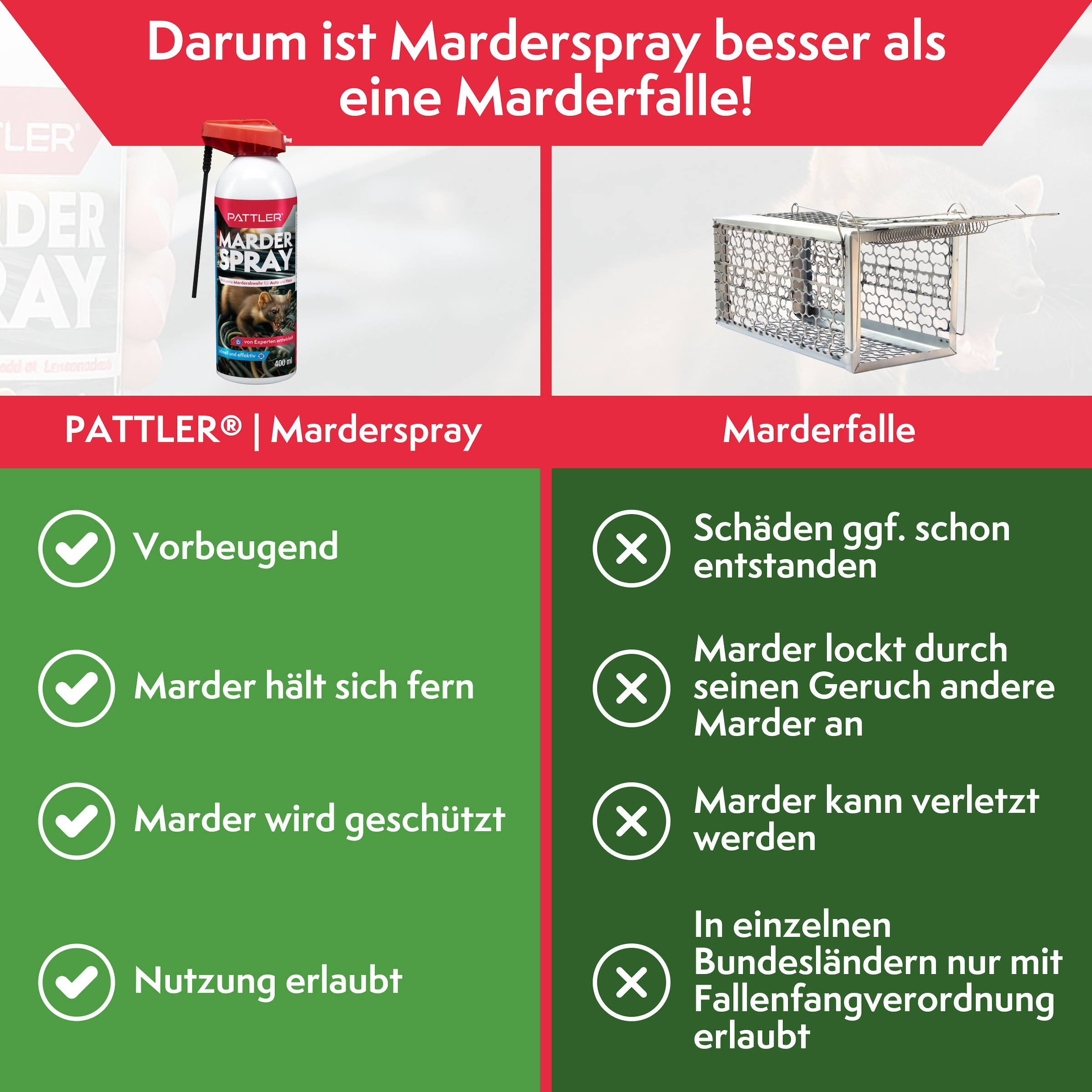 Pattler Spray anti-fouines »Hochwirksam mit Sofortwirkung« 400 ml