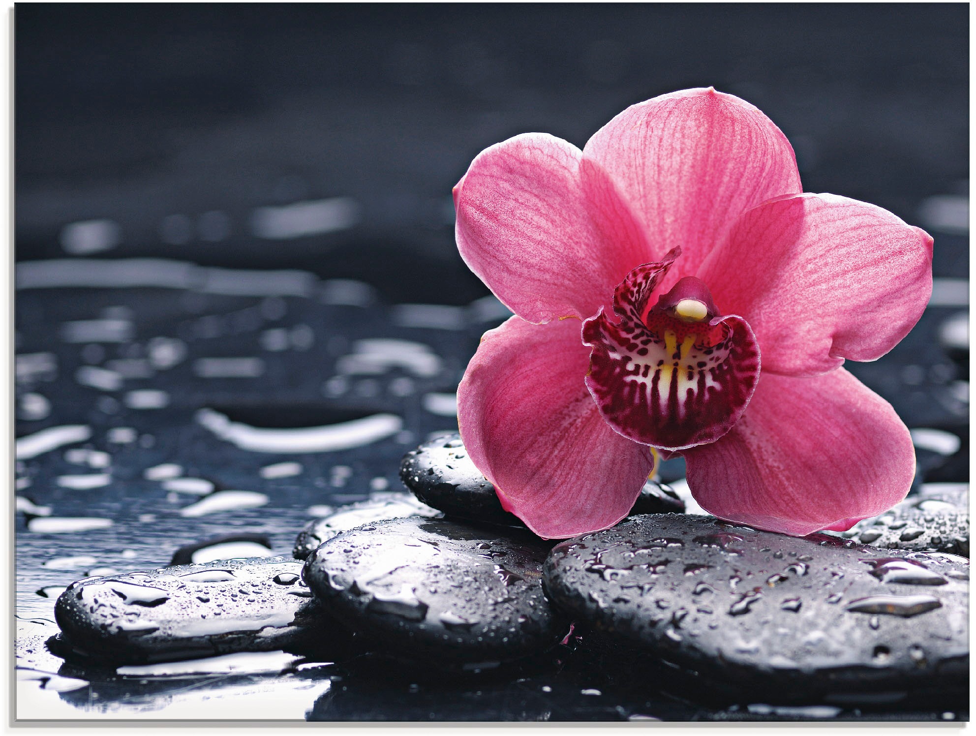 Image of Artland Glasbild »Stillleben mit Kiesel und einer Orchidee«, Blumen, (1 St.) bei Ackermann Versand Schweiz