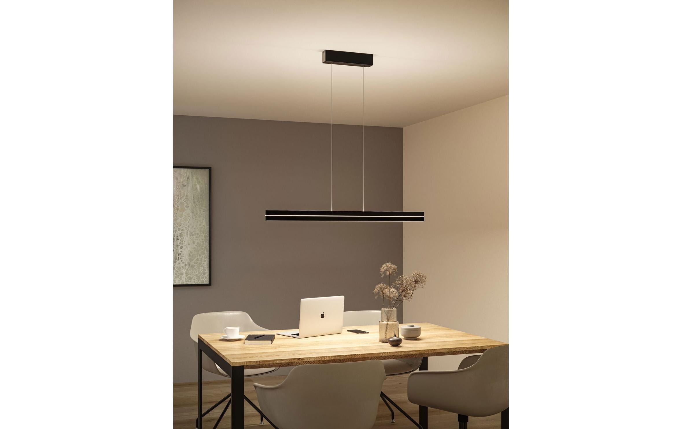 Paulmann Pendelleuchte »LED Pendelleuchte Raiko« LED-Modul RGB | warmweiss - kaltweiss