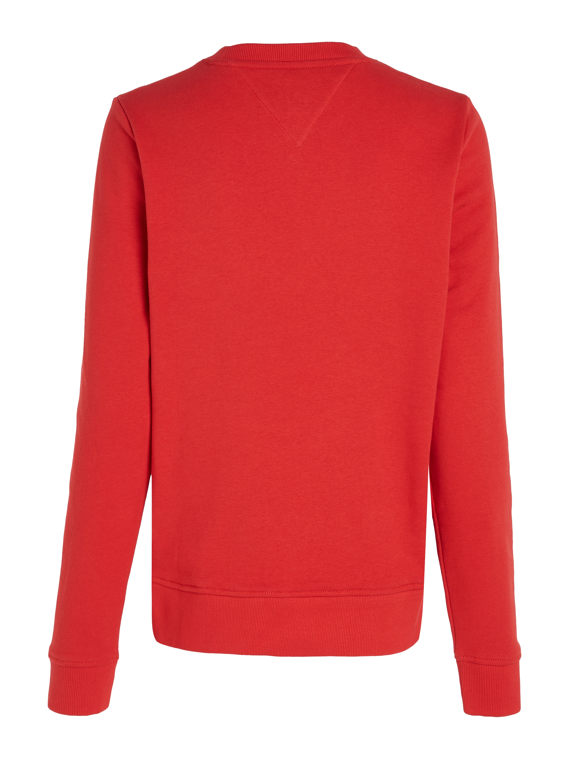 Tommy Jeans Curve Sweatshirt »TJW REG LINEAR CREW EXT«, in Grossen Grössen mit Logoschriftzug