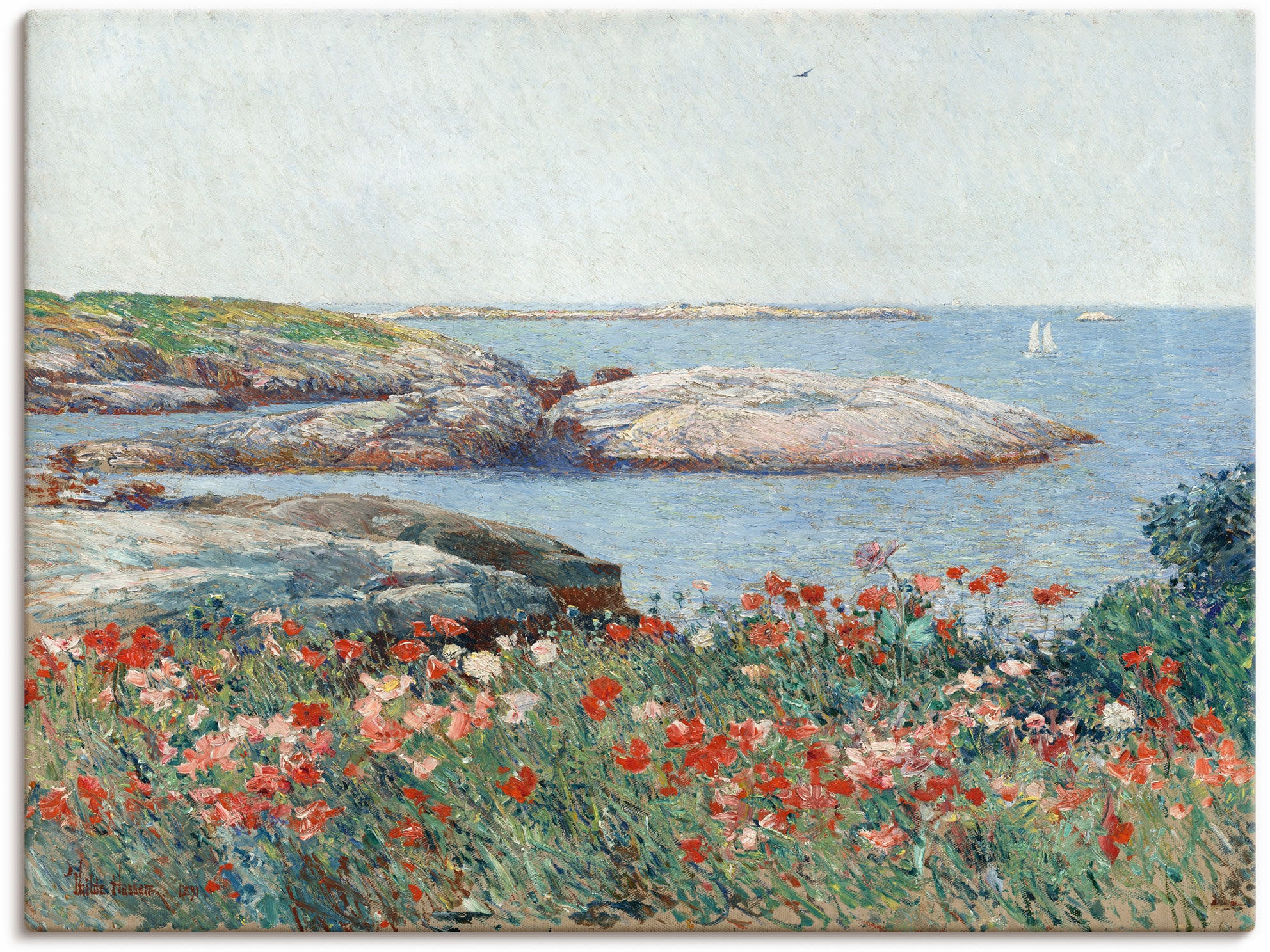 Image of Artland Leinwandbild "Poppy, Isles of Shoals. 1891" Meer Bilder 1 Stk. tlg. auf Holzrahmen gespannt