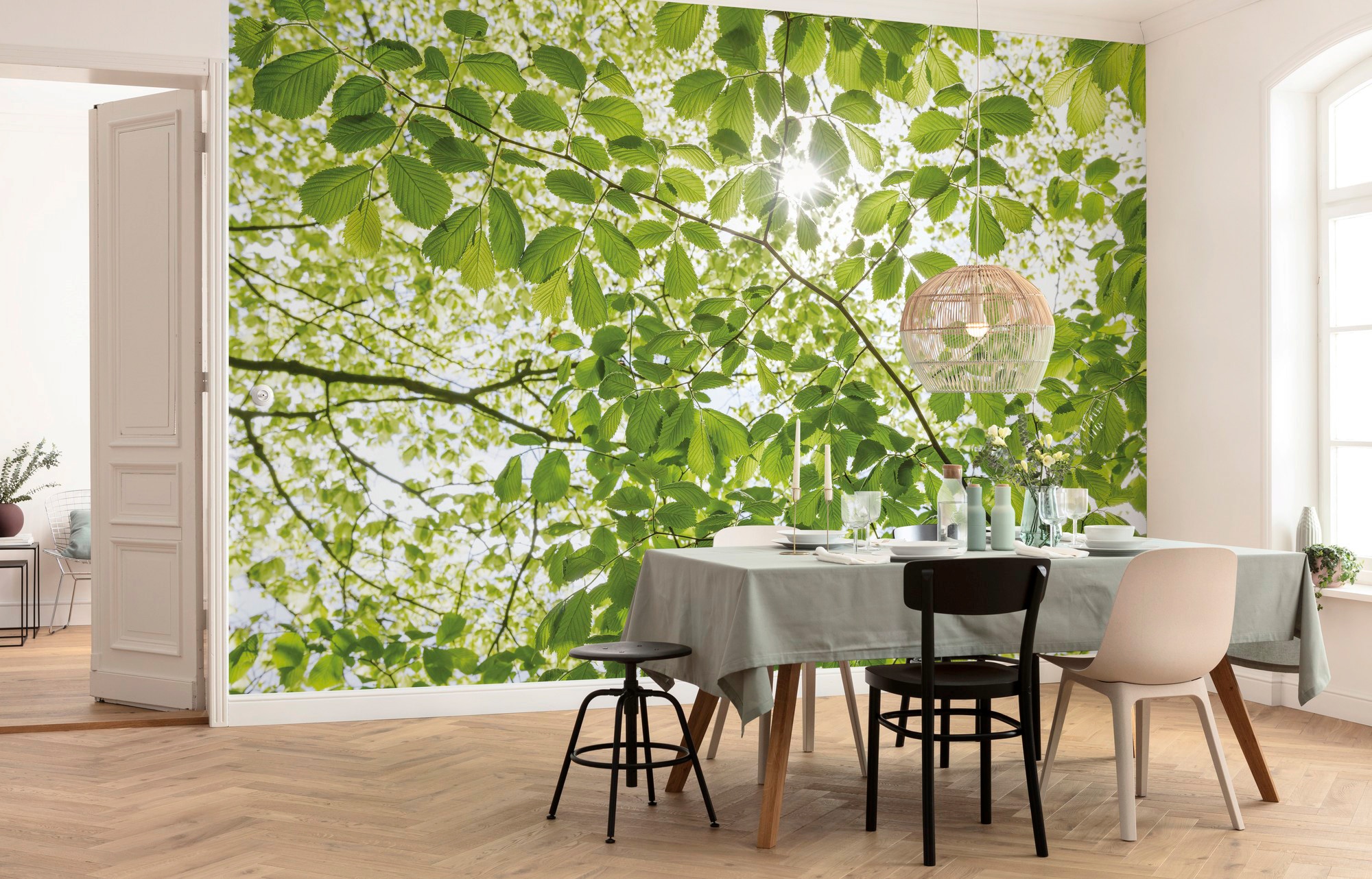Komar Papier peint intissé »Digitaldruck Vlies -  Im Frühlingswald - Grösse 450 x 280 cm« imprimé Wohnzimmer, Schlafzimmer