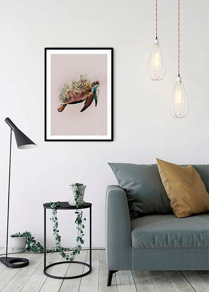 Komar Bild »Animals Paradise Turtle«, Tiere, (1 St.), Wandbild zur Dekoration - ohne Rahmen