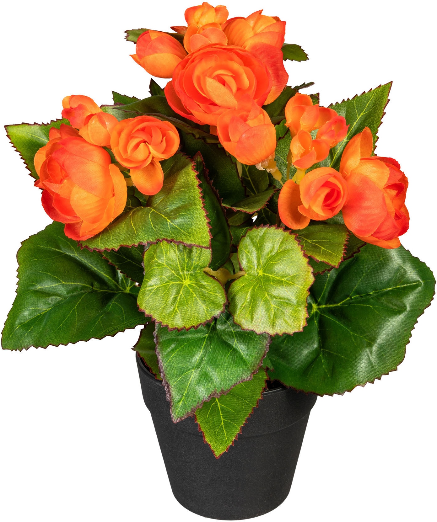 DELAVITA Kunstpflanze »Eleonore« im Topf, 2er Set