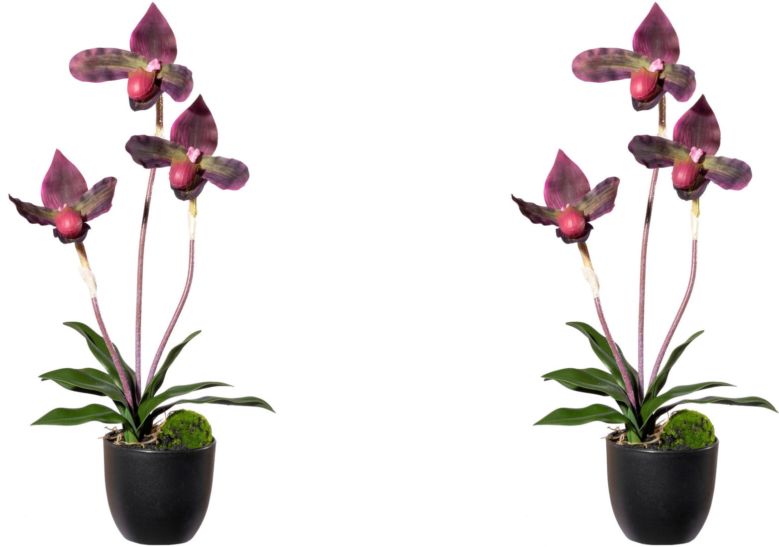 Kunstorchidee »Orchidee Frauenschuh«, mit Real-Touch-Blüten