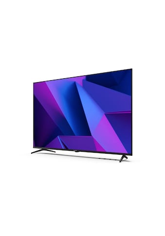 LCD-LED Fernseher »55FN2EA, 55 LED-TV«, 139,7 cm/55 Zoll
