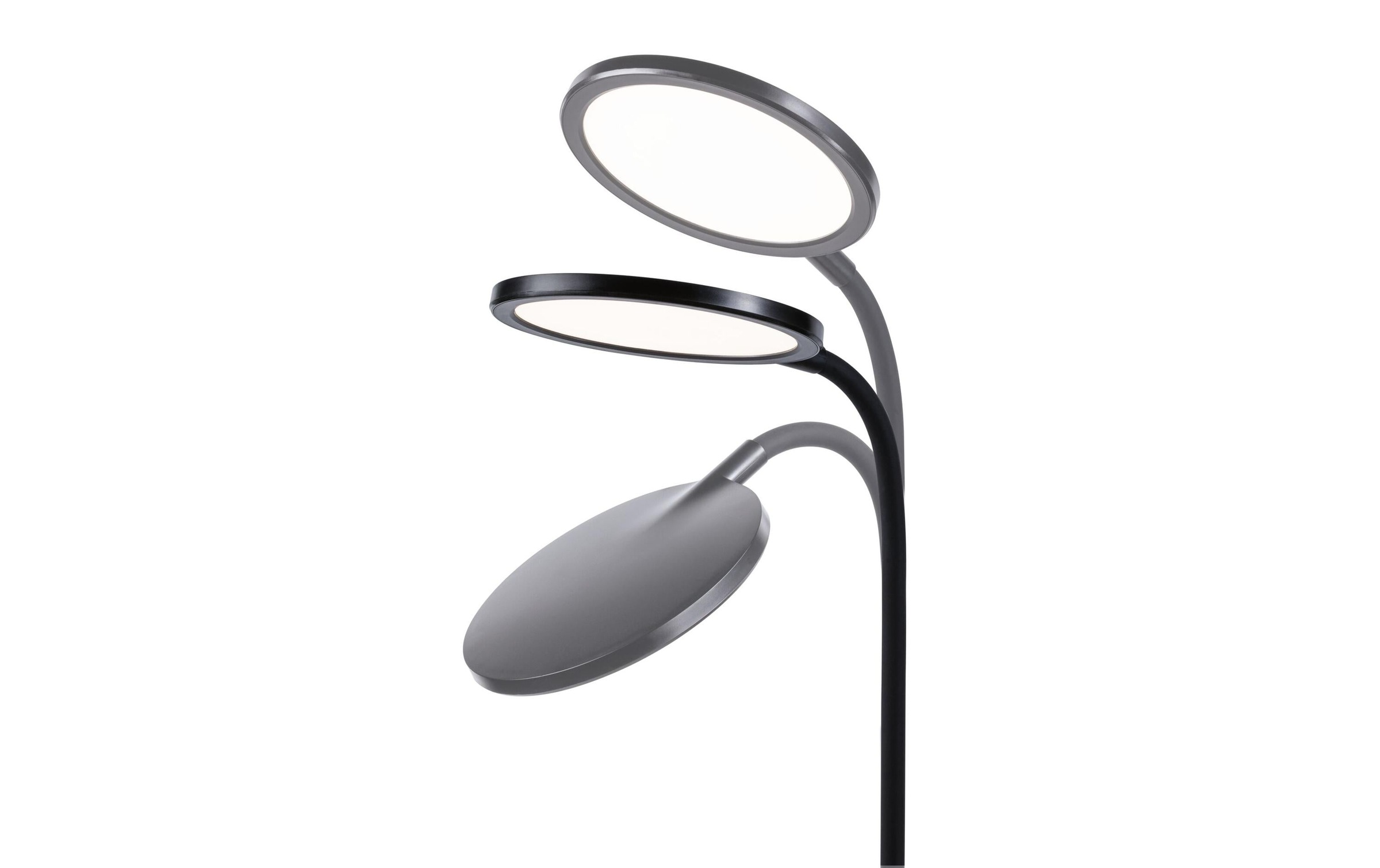 Paulmann Lampe de bureau LED »Paulmann Schreibtischleuchte Schwarz, matt« Module LED blanc chaud
