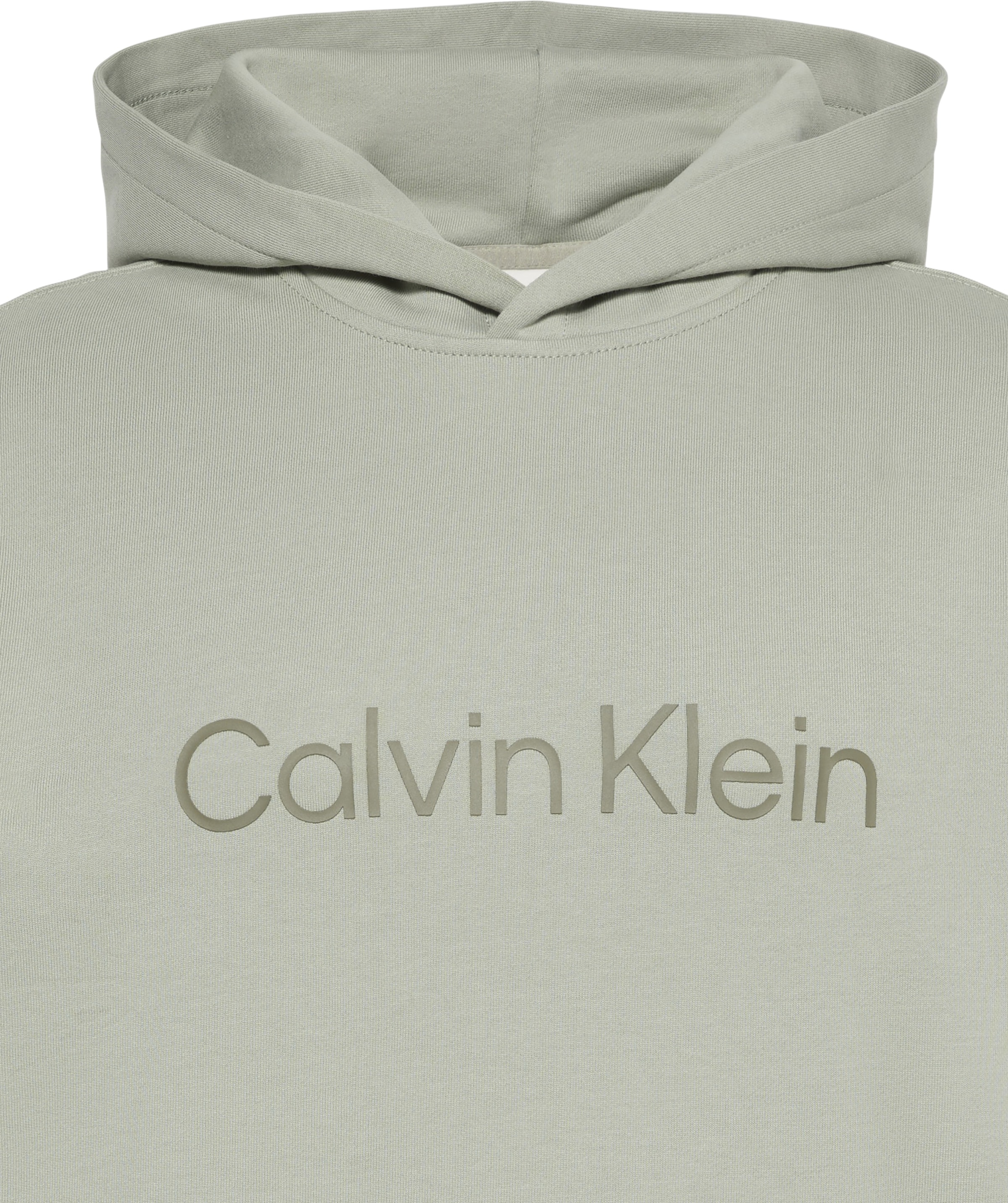 Calvin Klein Sweat à capuche »LS EU STANDARD LOGO 350TERRY PO«, Mit Rundhalsausschnitt, regular fit
