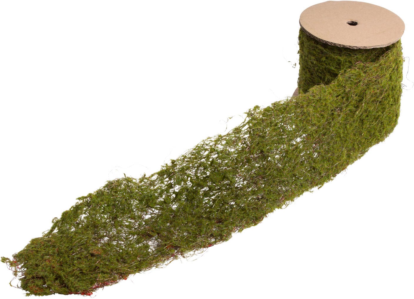Image of Botanic-Haus Künstliche Zimmerpflanze »Moosband auf Rolle«, (1 St.) bei Ackermann Versand Schweiz