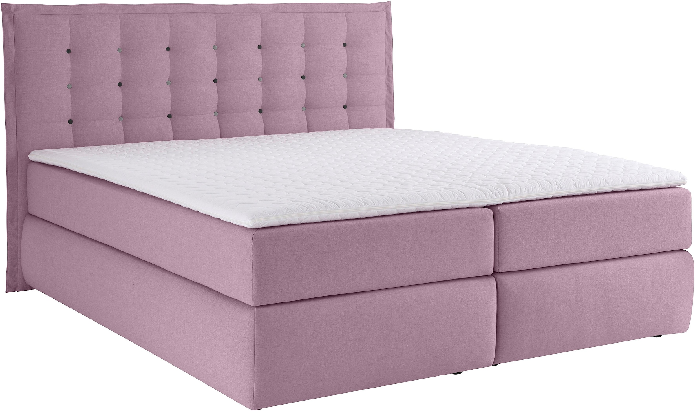 INOSIGN Boxspringbett »Sagres«, Kopfteil mit 2farbiger Flatterbiese und zweifarbigen Knöpfen