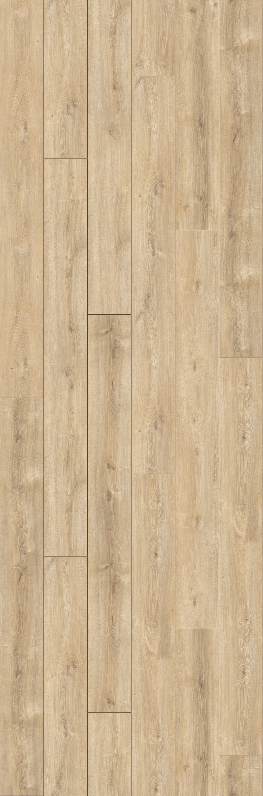 Image of PARADOR Laminat »Trendtime 6 - Eiche Nova hell«, (Packung), spezielle Trägerplatte, 2200 x 243 mm, Stärke: 9 mm bei Ackermann Versand Schweiz