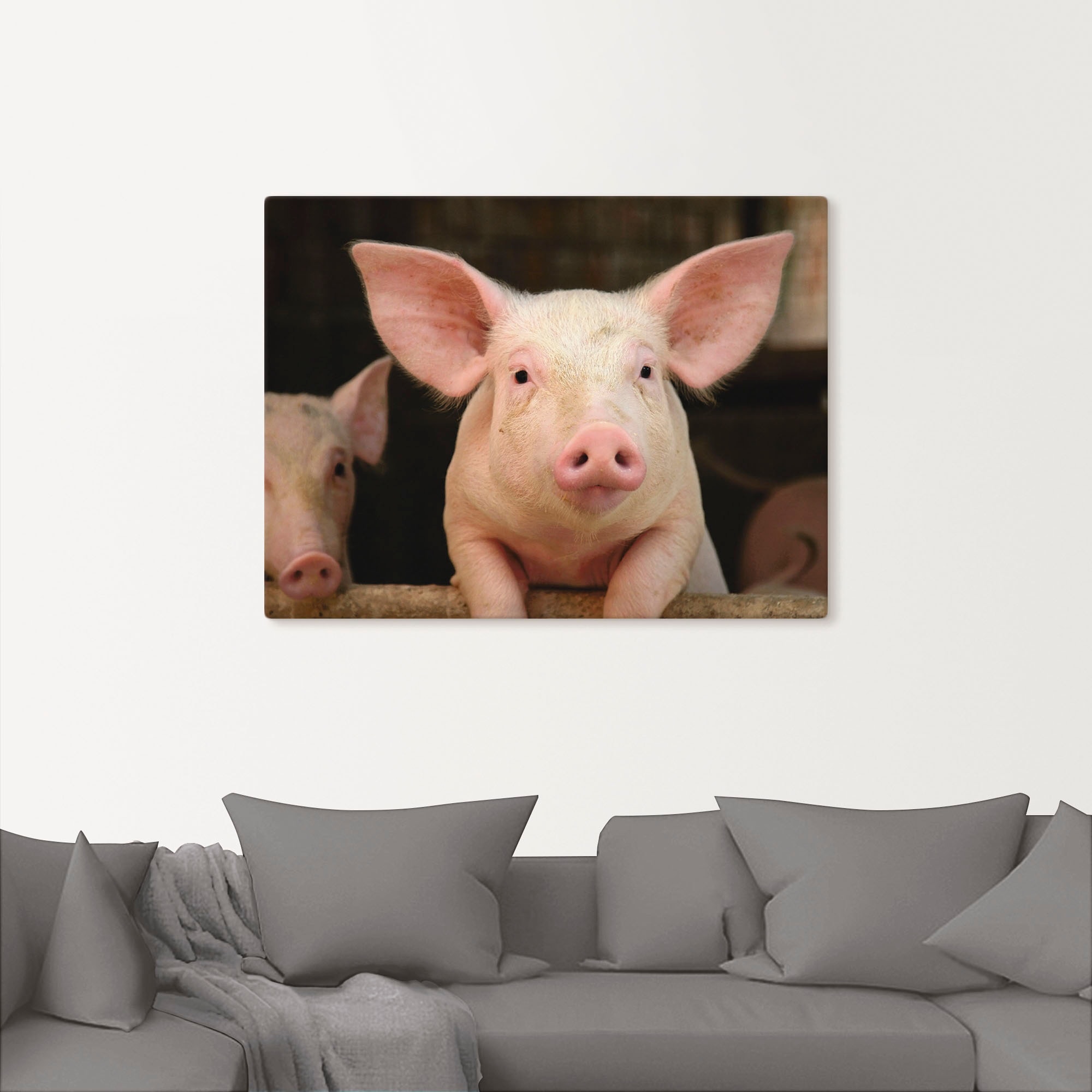 Artland Tableau sur toile »Vorwitziges Schwein« 1 cuis tlg. auf Holzrahmen gespannt